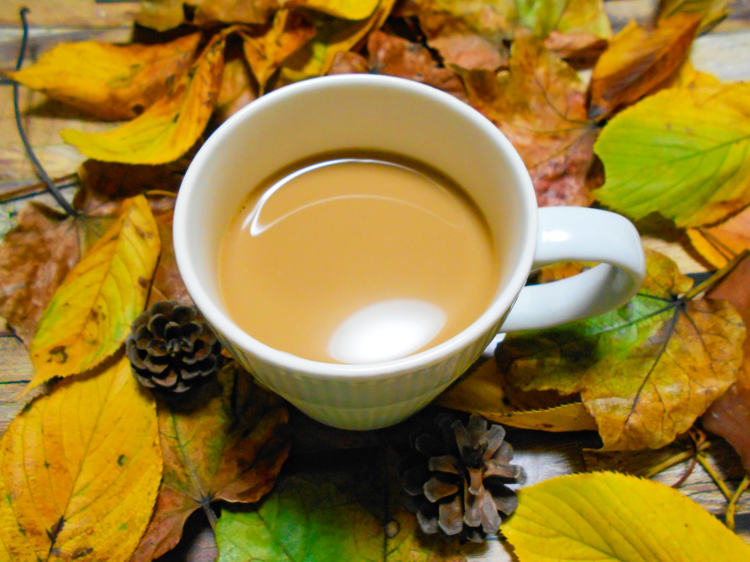 Cangkir kopi dikelilingi oleh daun musim gugur
