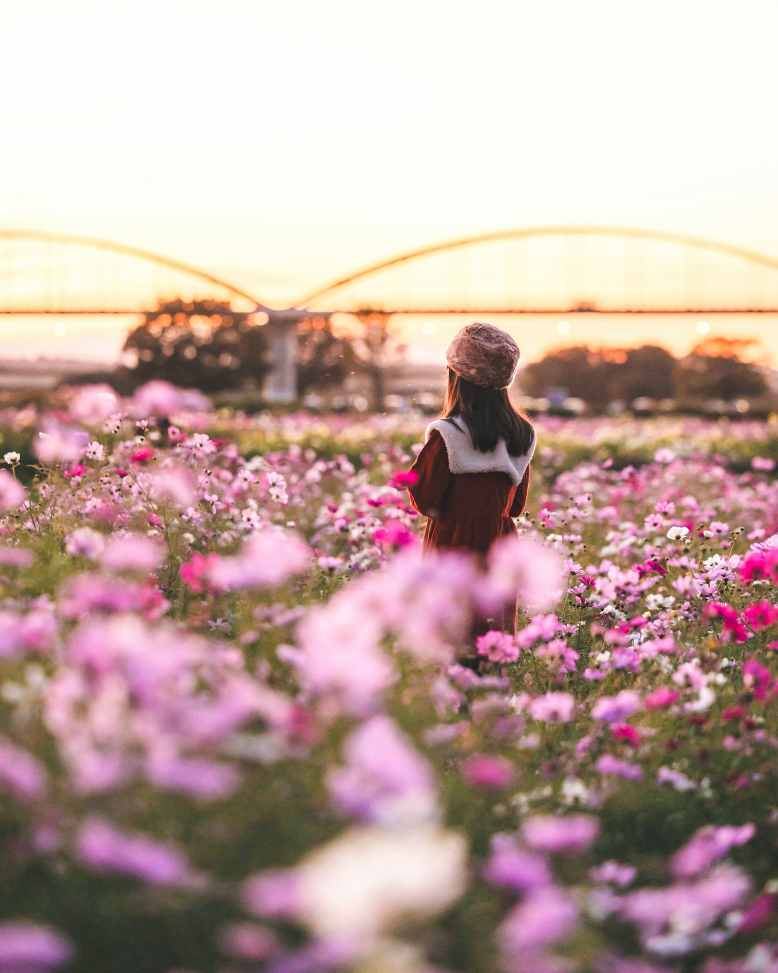 Mujer de pie en un campo de flores durante el atardecer con un puente al fondo y flores rosas alrededor