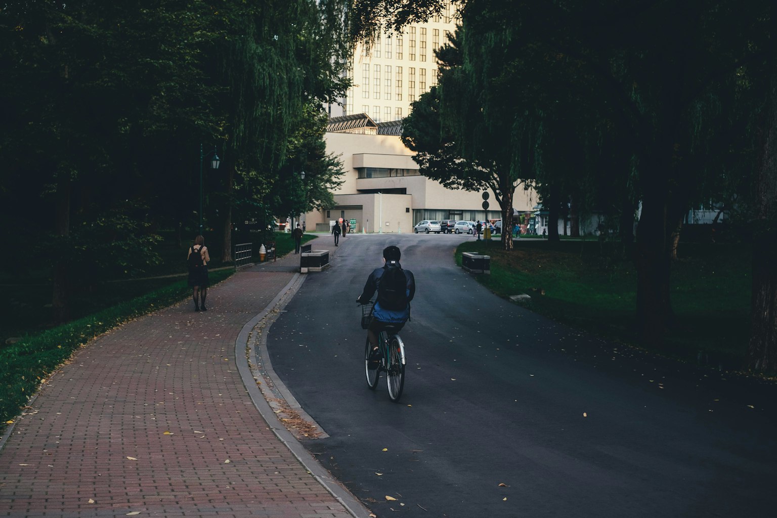 一个人在公园小路上骑自行车