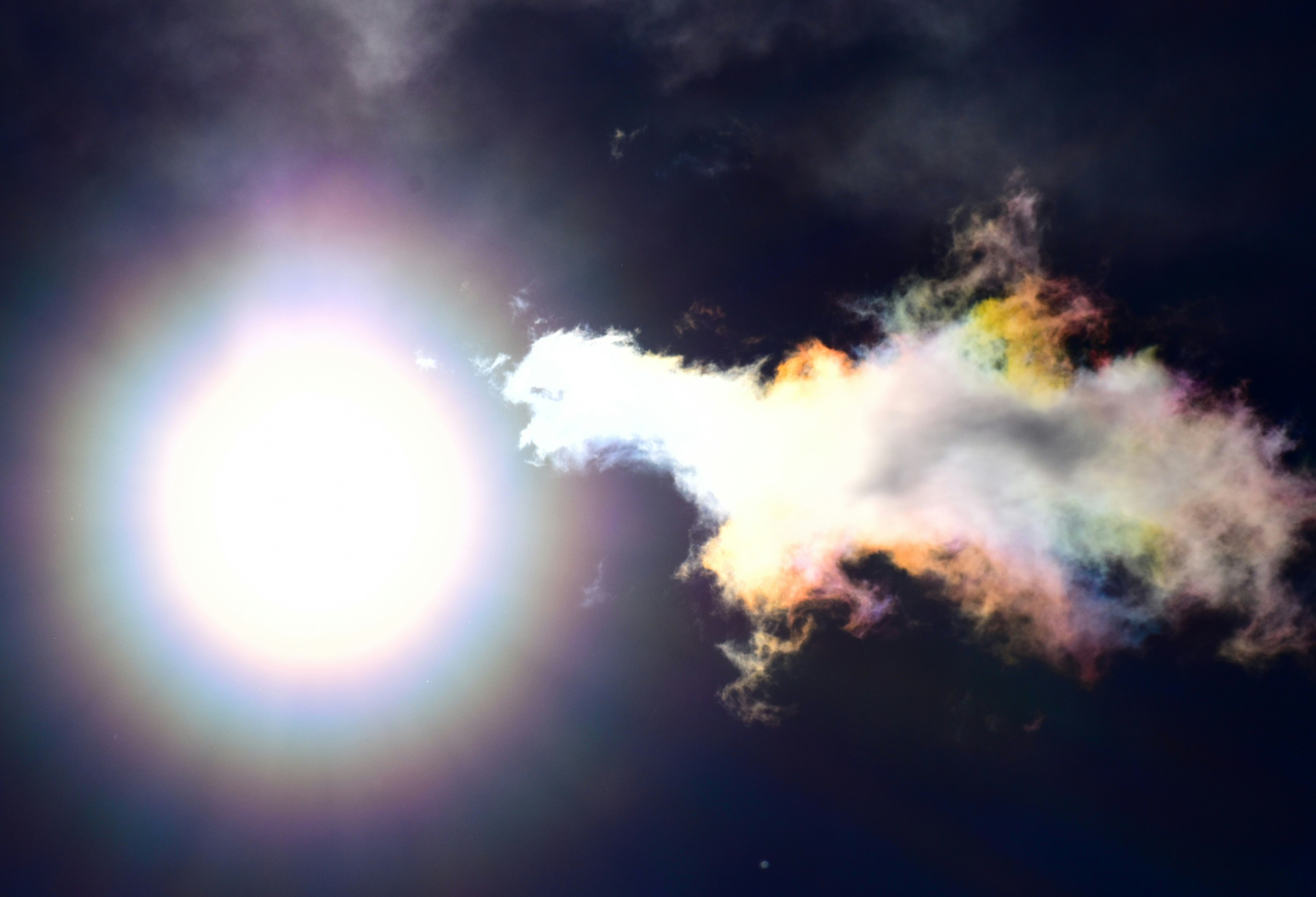 太陽周圍的彩雲與花粉光環天空
