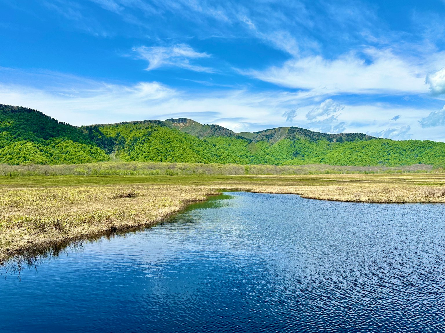 湿地风景，蓝天和绿色山脉