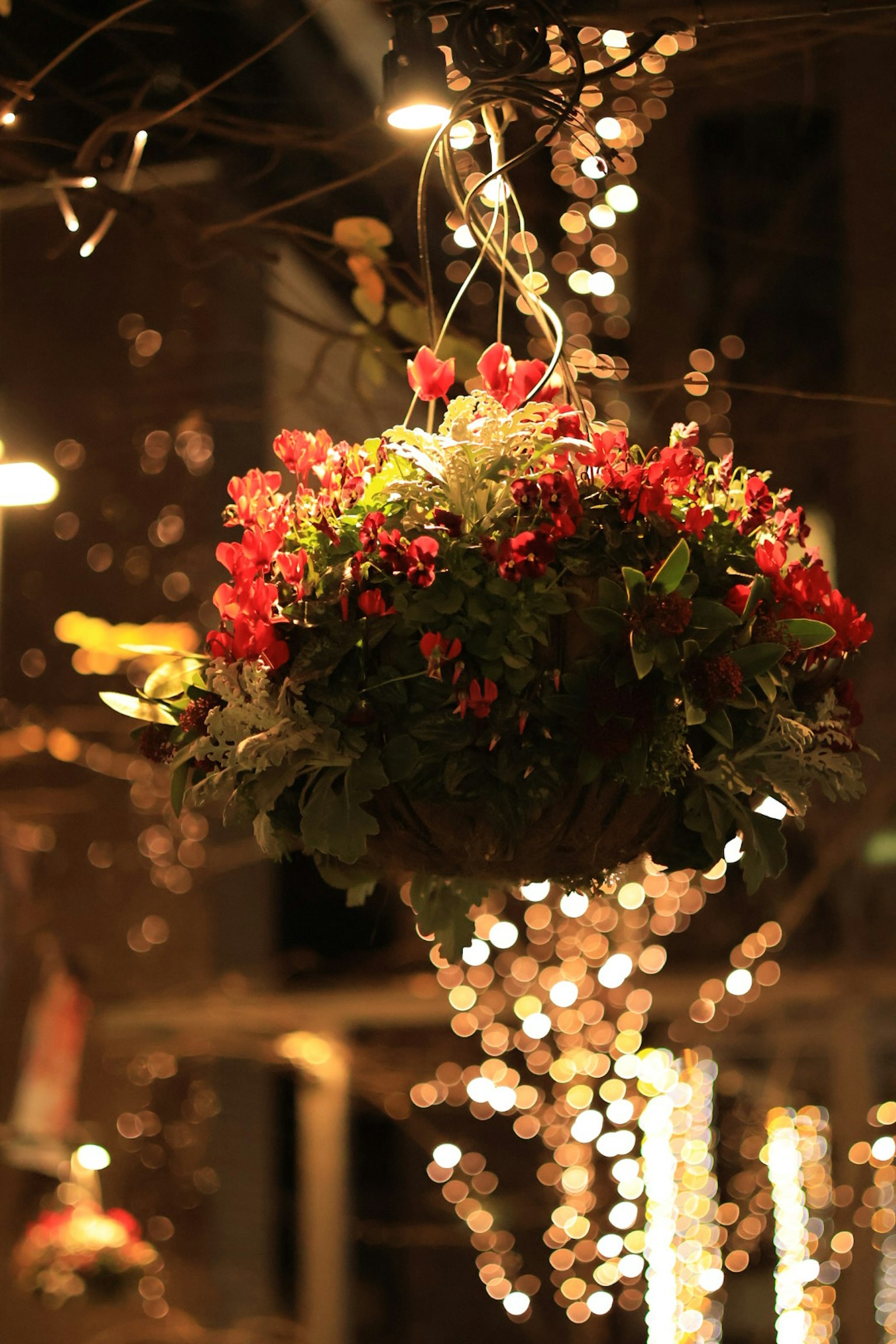 Hanging flower basket with bright red blooms illuminated by lights at night