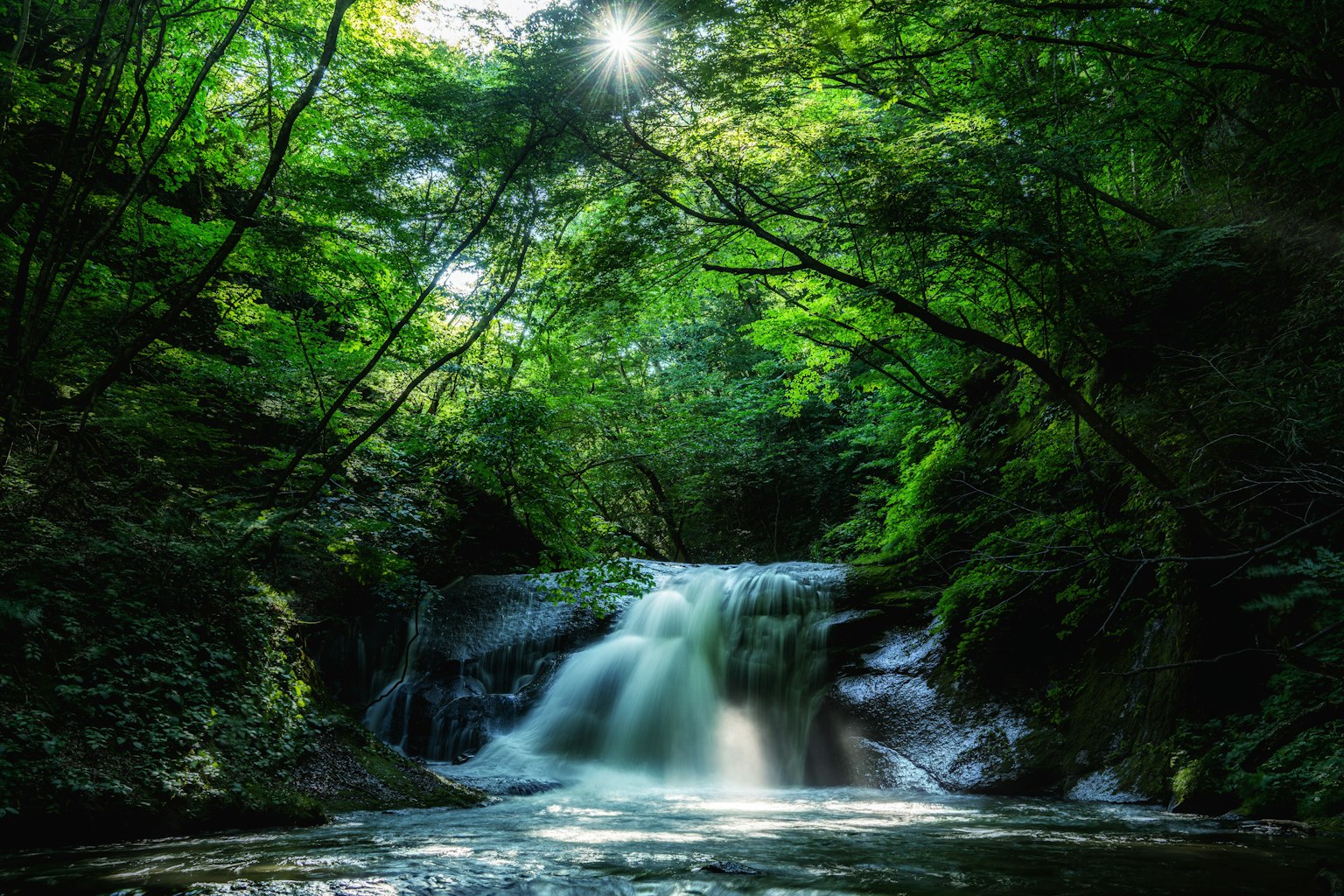 Air terjun di hutan hijau subur dengan aliran air dan sinar matahari yang menyaring melalui pepohonan