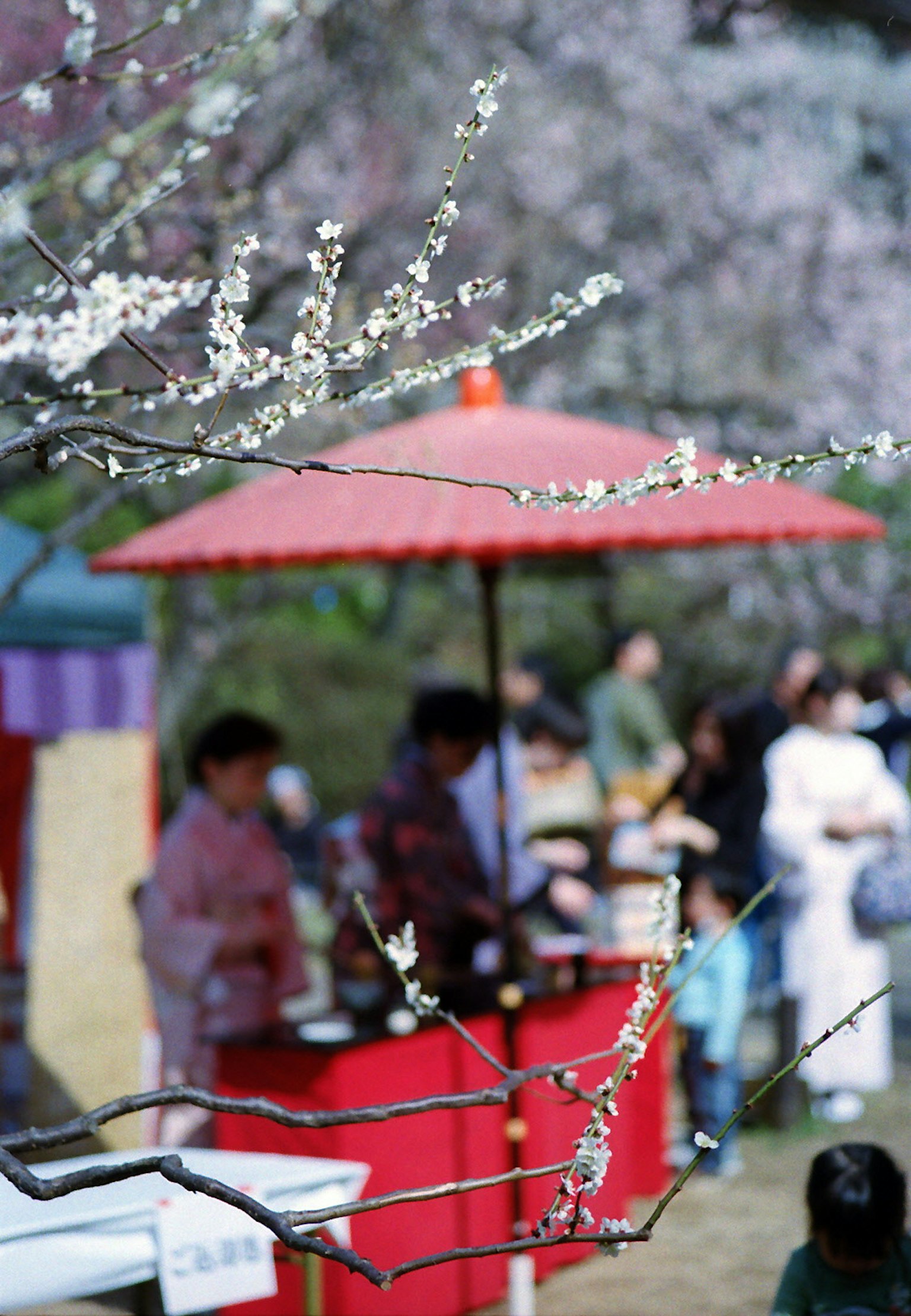 Scene with cherry blossoms featuring people under a red umbrella and food stalls