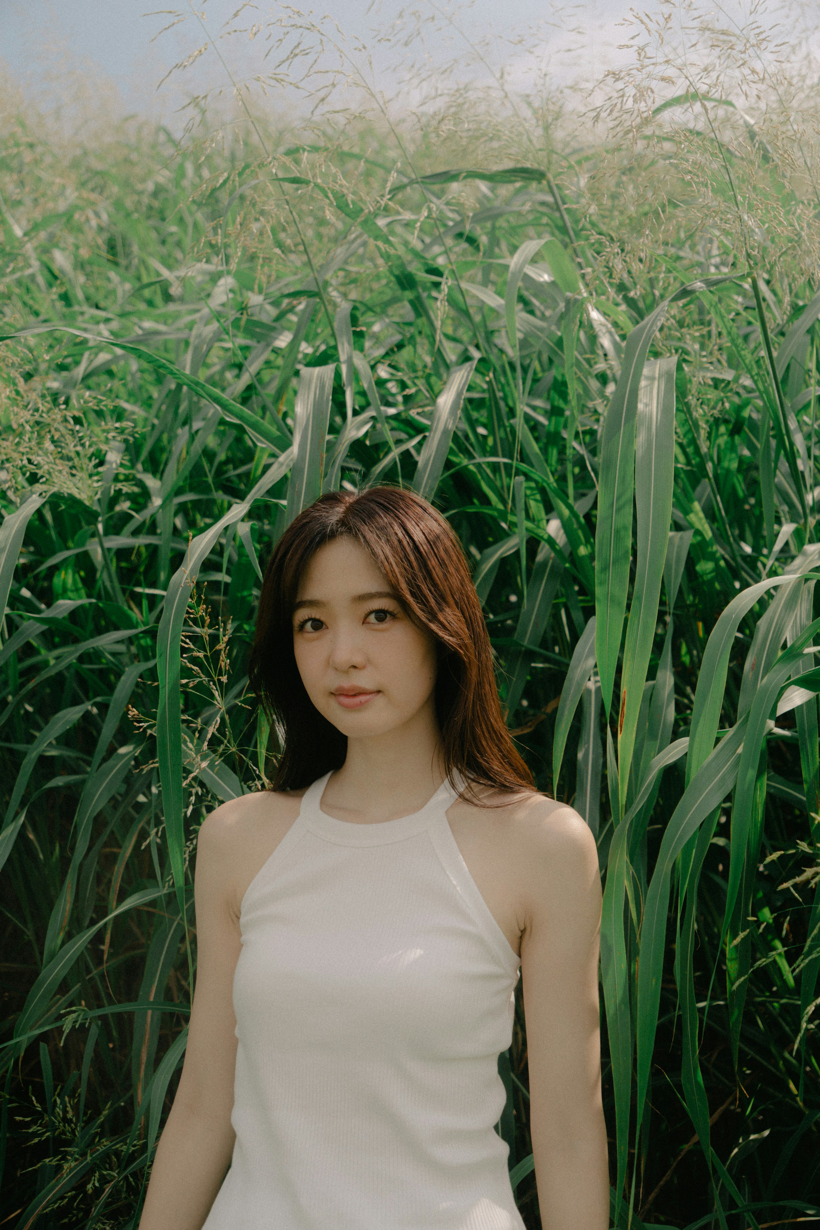 高草叢中的女性