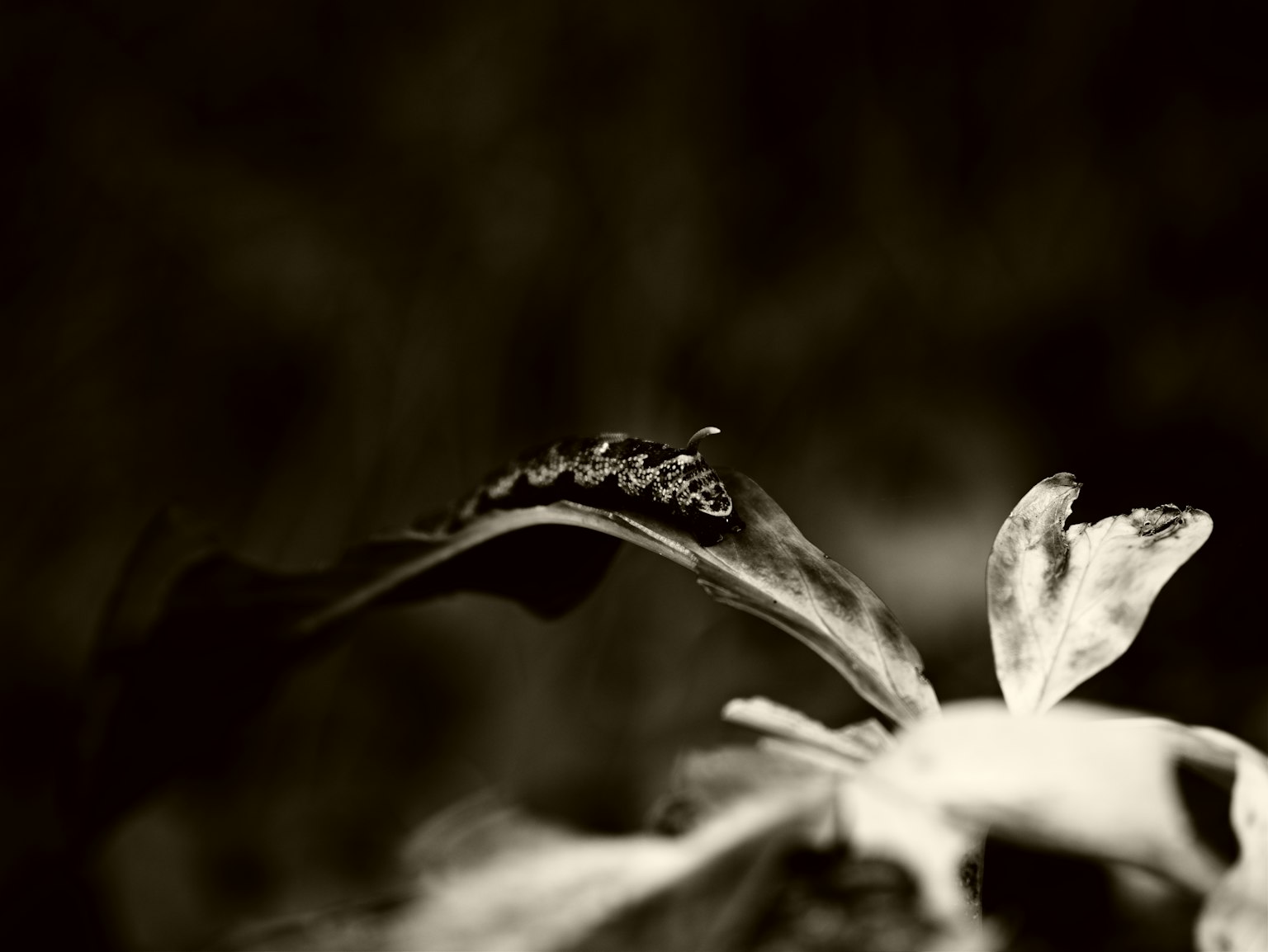 photo-fHAwIyatw7SPmKXJNn2b-image