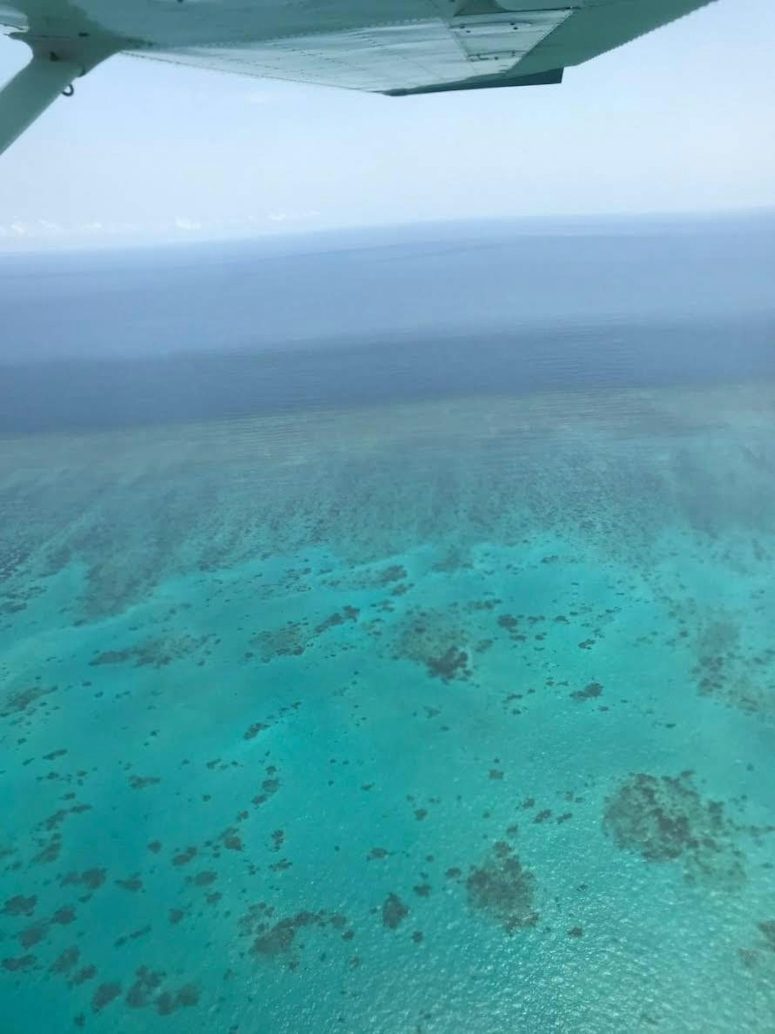 Vista aérea de agua turquesa y arrecifes de coral