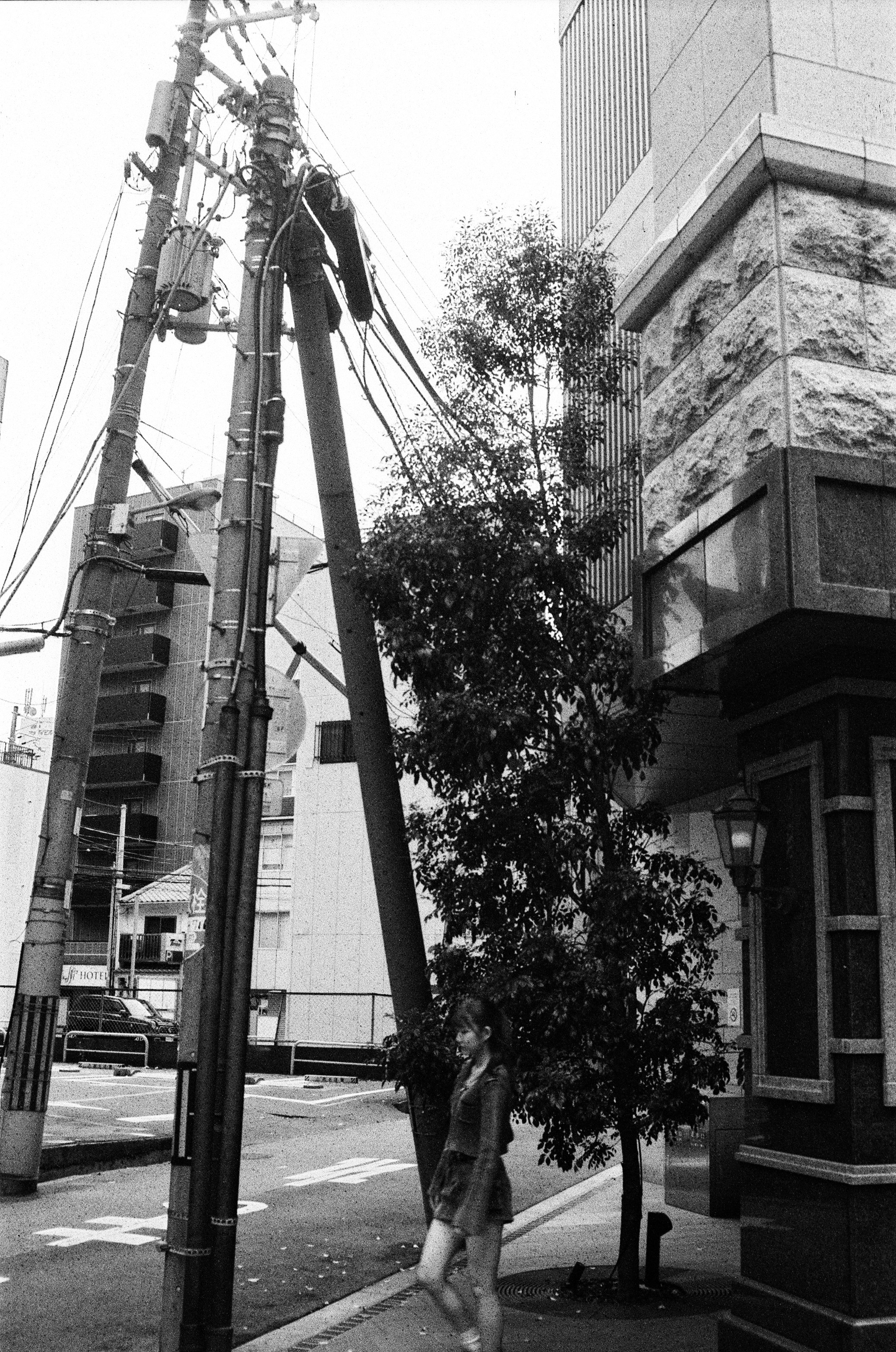電柱と街路樹のある都市の路地で歩く人の気配