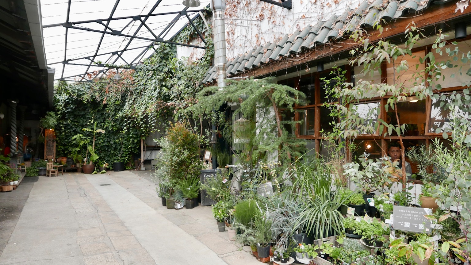 Vista interna di un negozio di giardinaggio pieno di piante e vegetazione