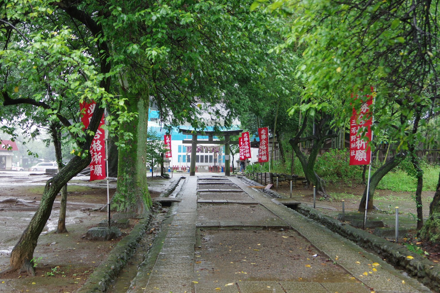 綠意盎然的公園小徑與鳥居和紅色橫幅