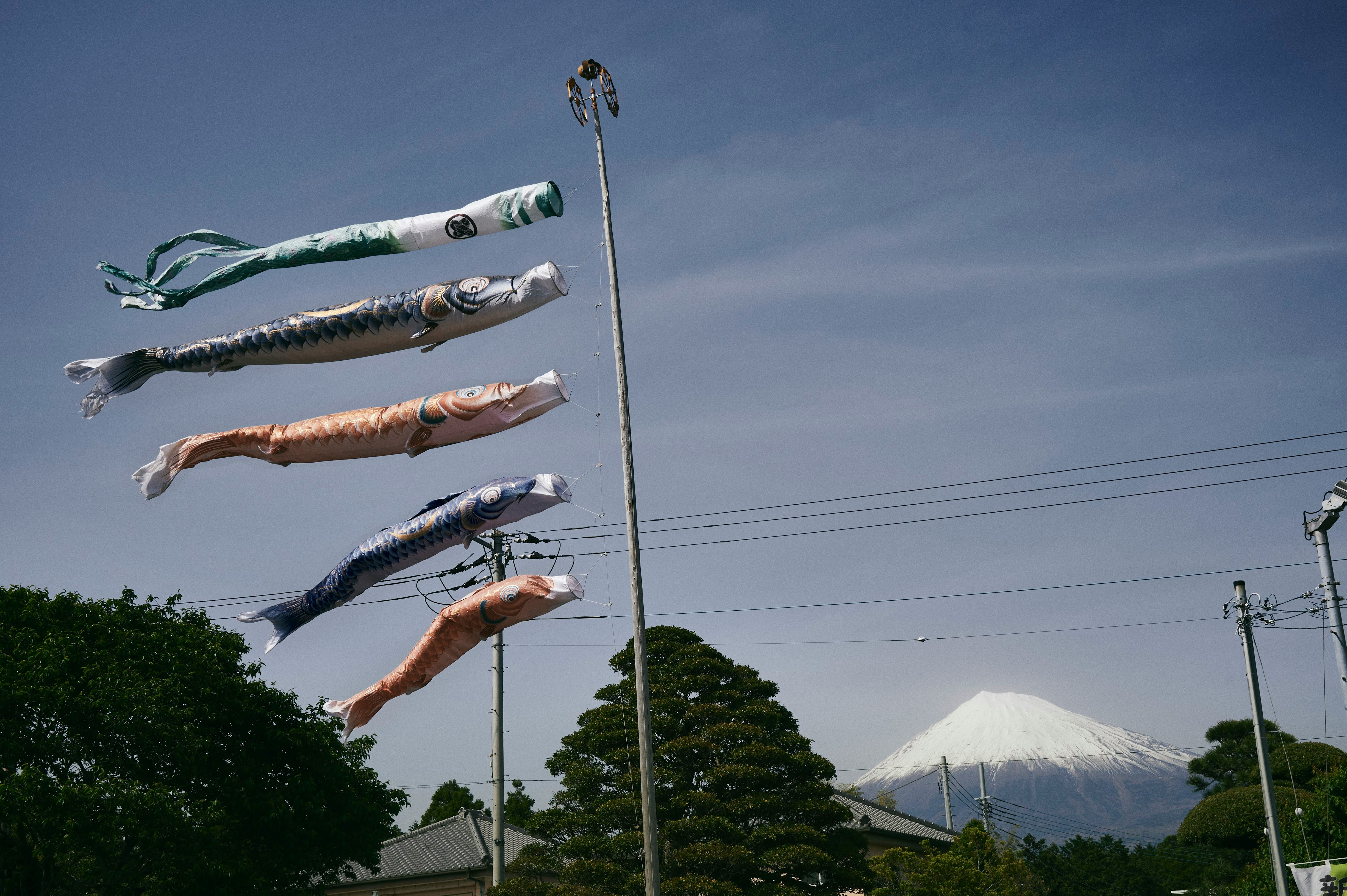 風に泳ぐ鯉のぼりと遠くに見える富士山のある風景