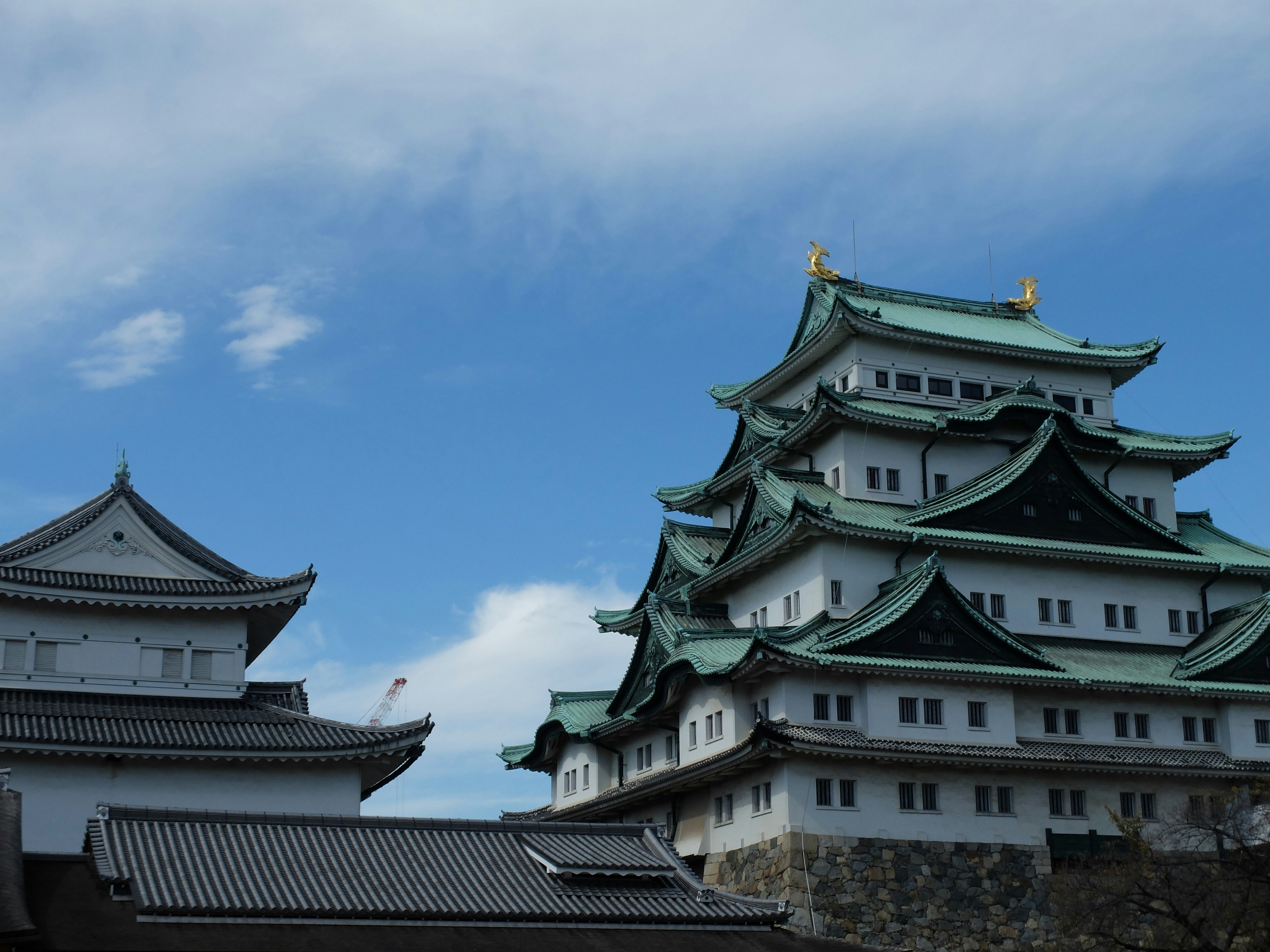 名古屋城の天守と屋根が並ぶ城郭の景観