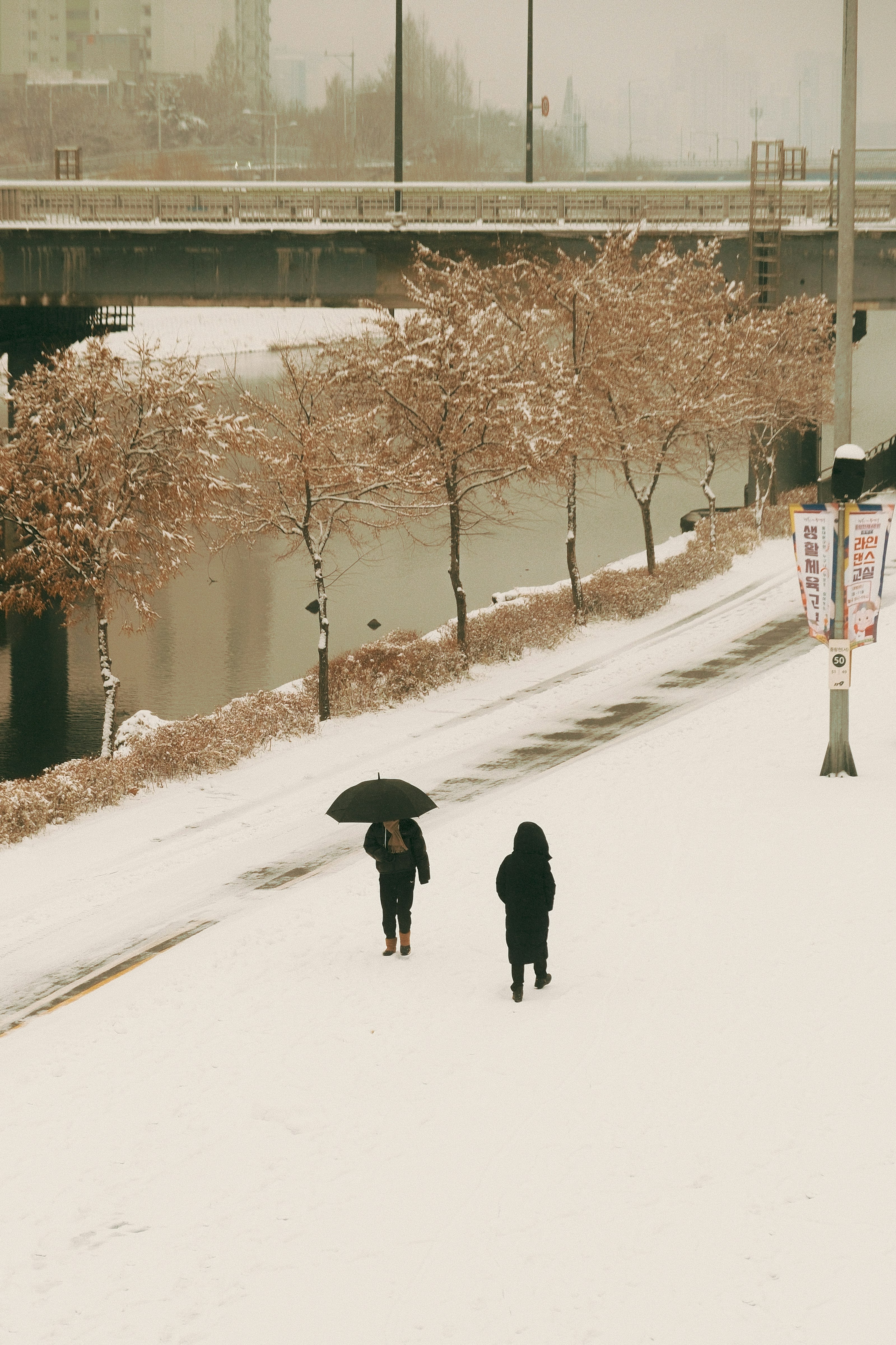 雪の川沿いを歩く人々と並ぶ街路樹の小道