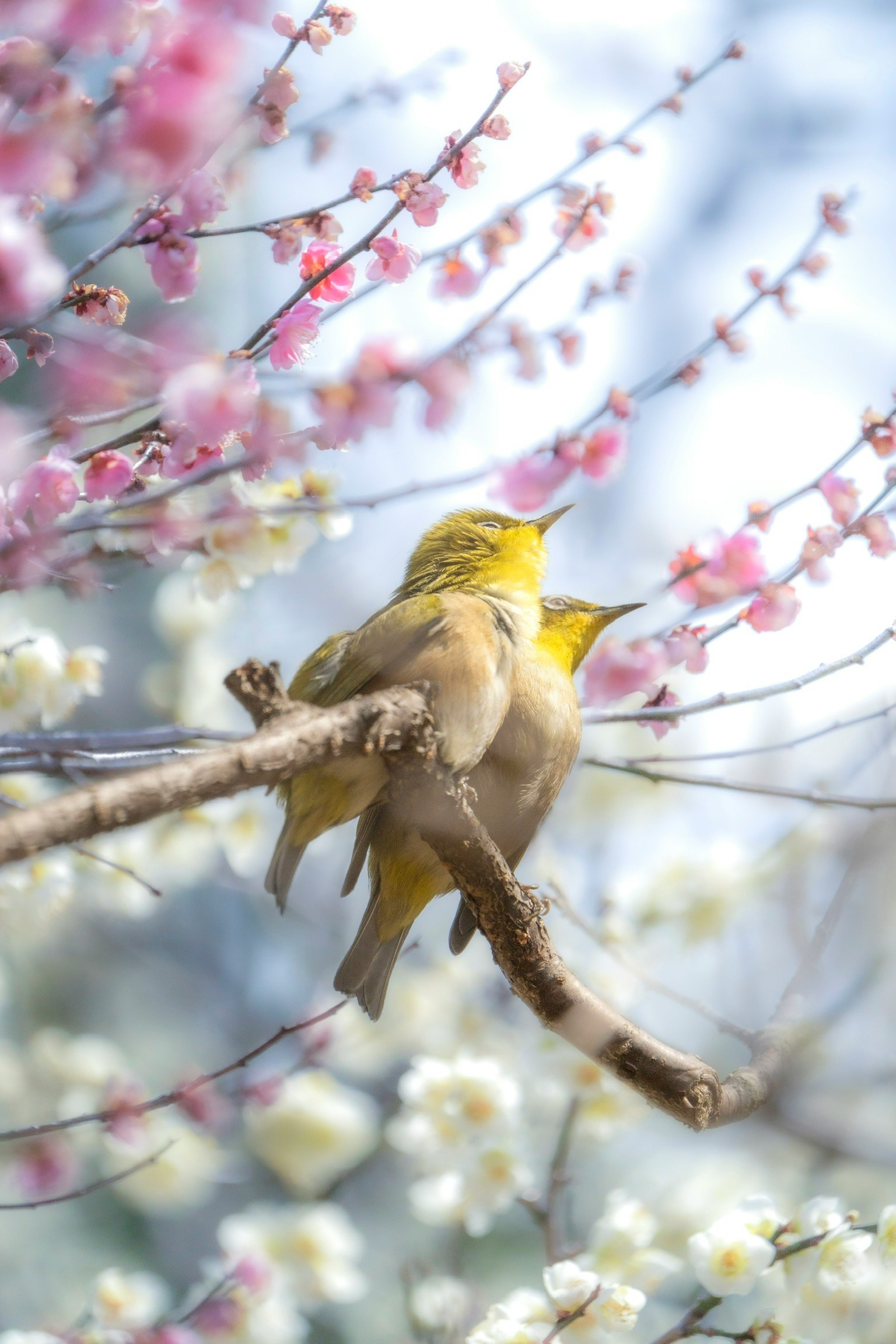 Una hermosa escena de un pájaro posado en una rama rodeado de flores en flor