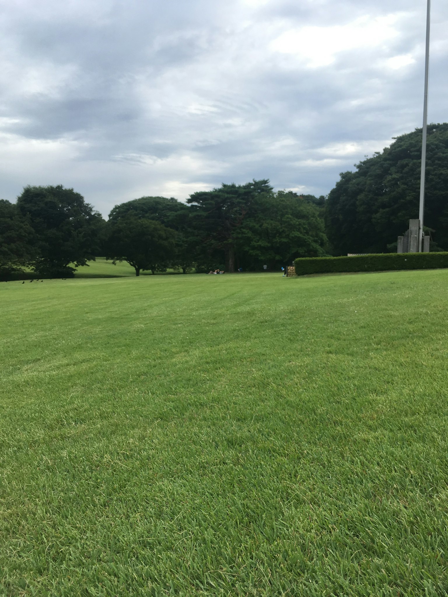Wide green lawn with trees in a park setting
