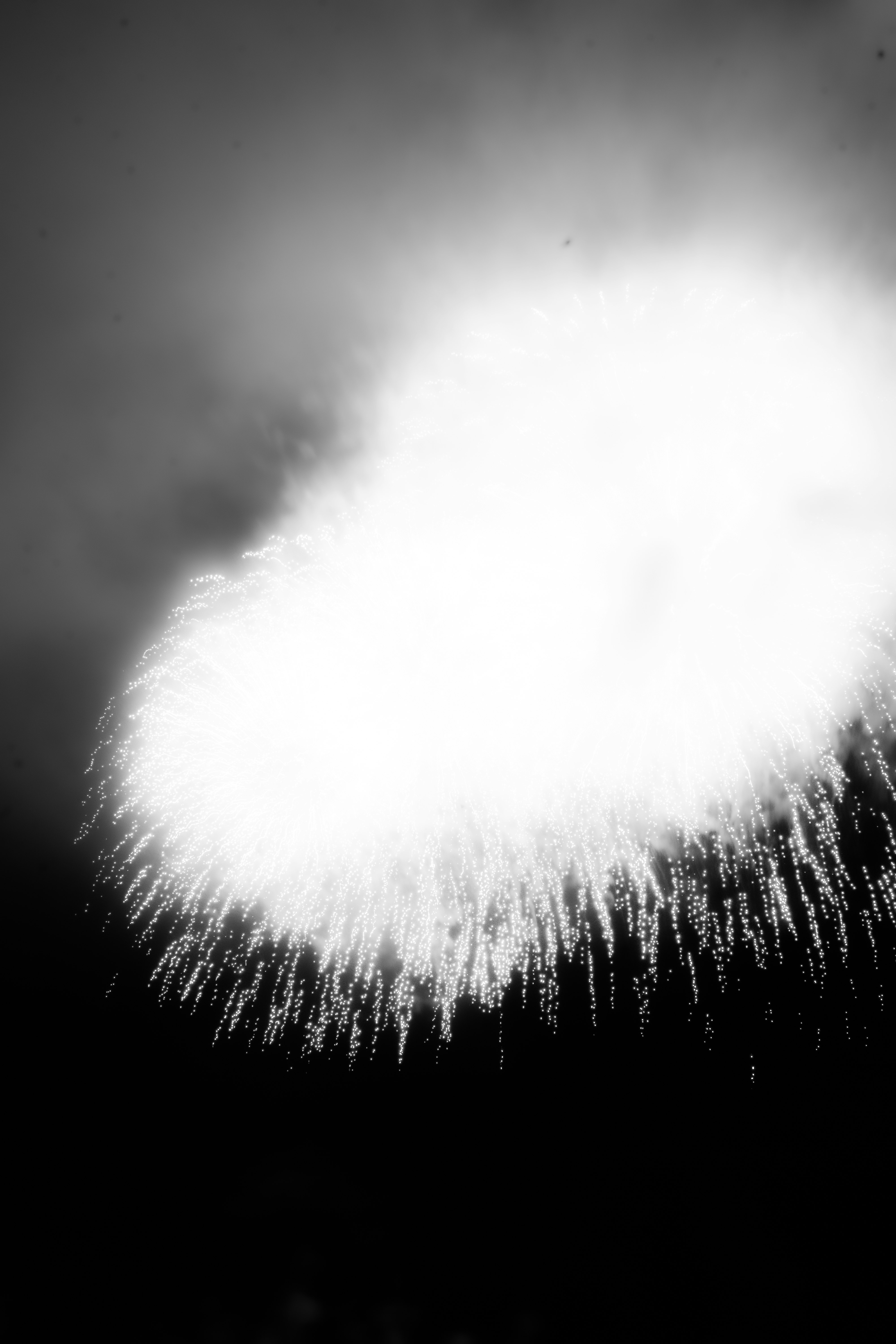 photo-fKqSF9Ql52yL0HdDvAn7-image