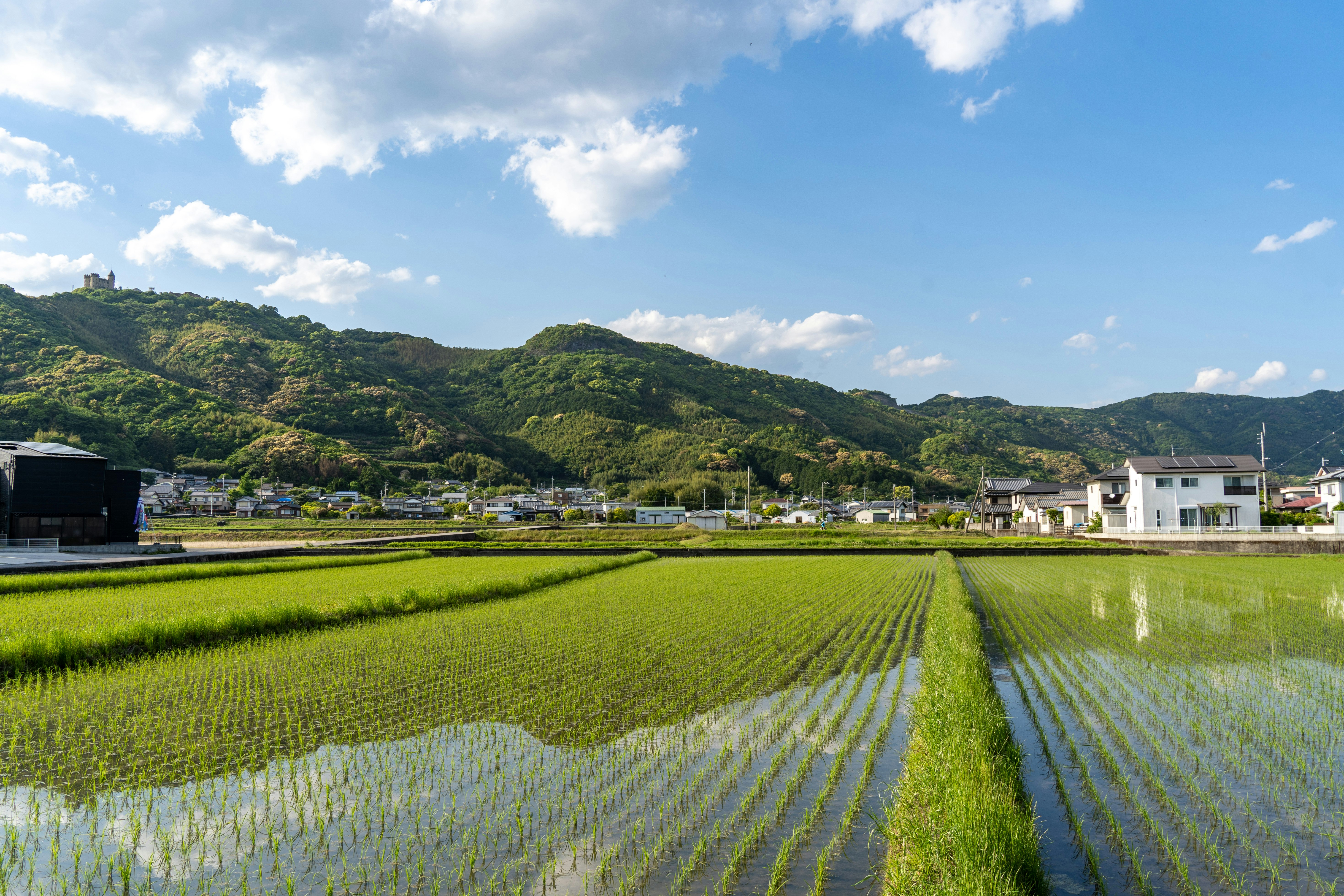 田んぼの畦道と山並みが広がる農村風景