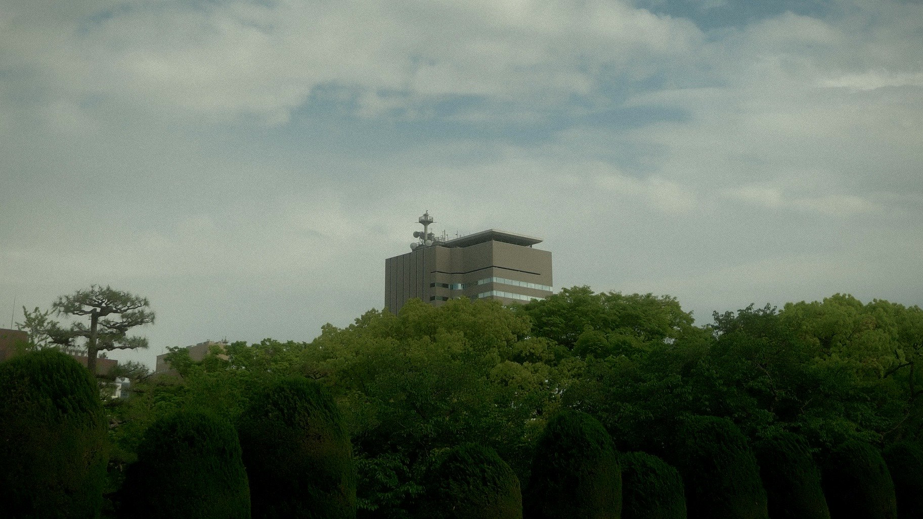緑の木々の上にそびえる近代的な建物と空