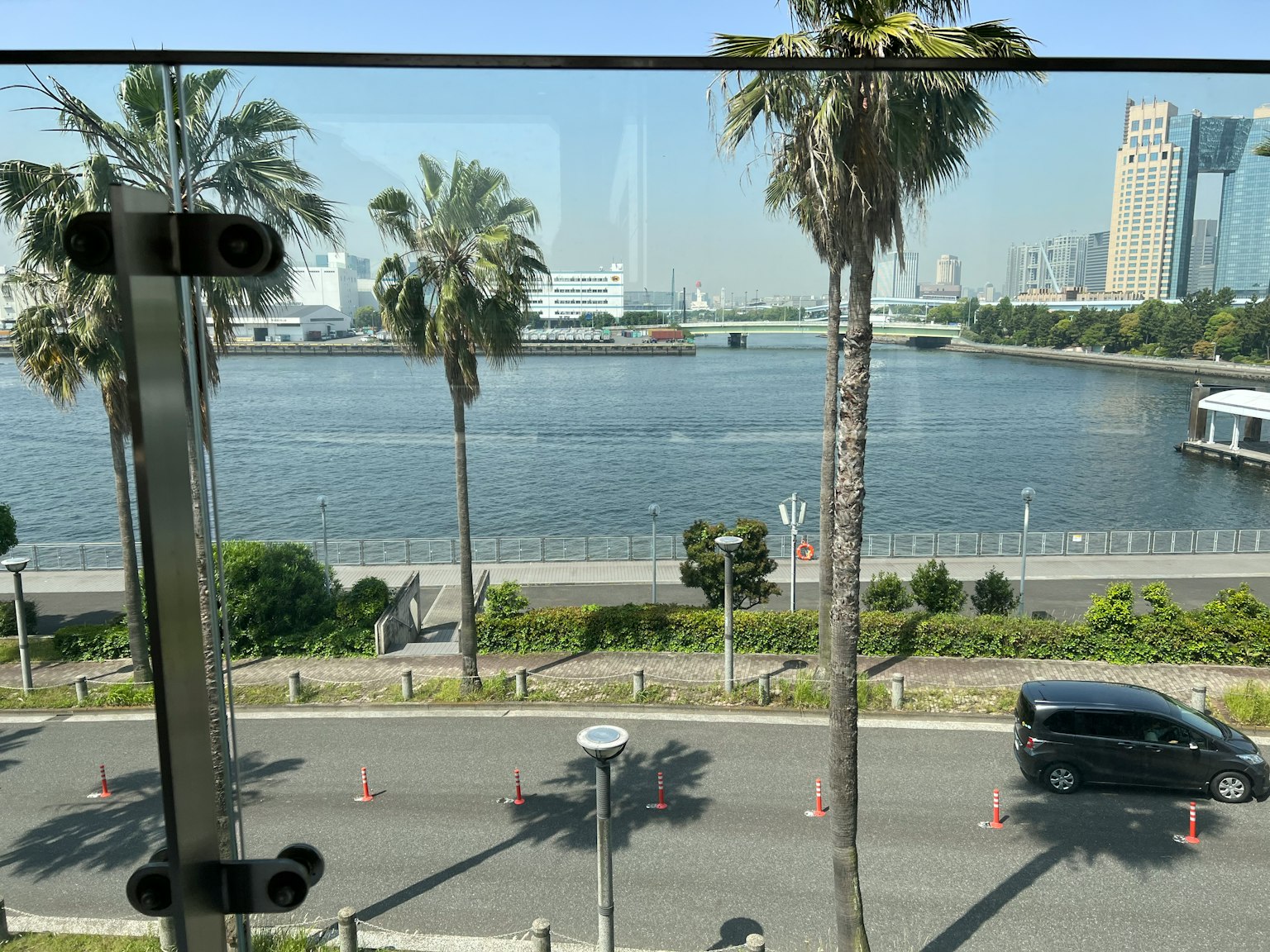 城市景观，河流和棕榈树