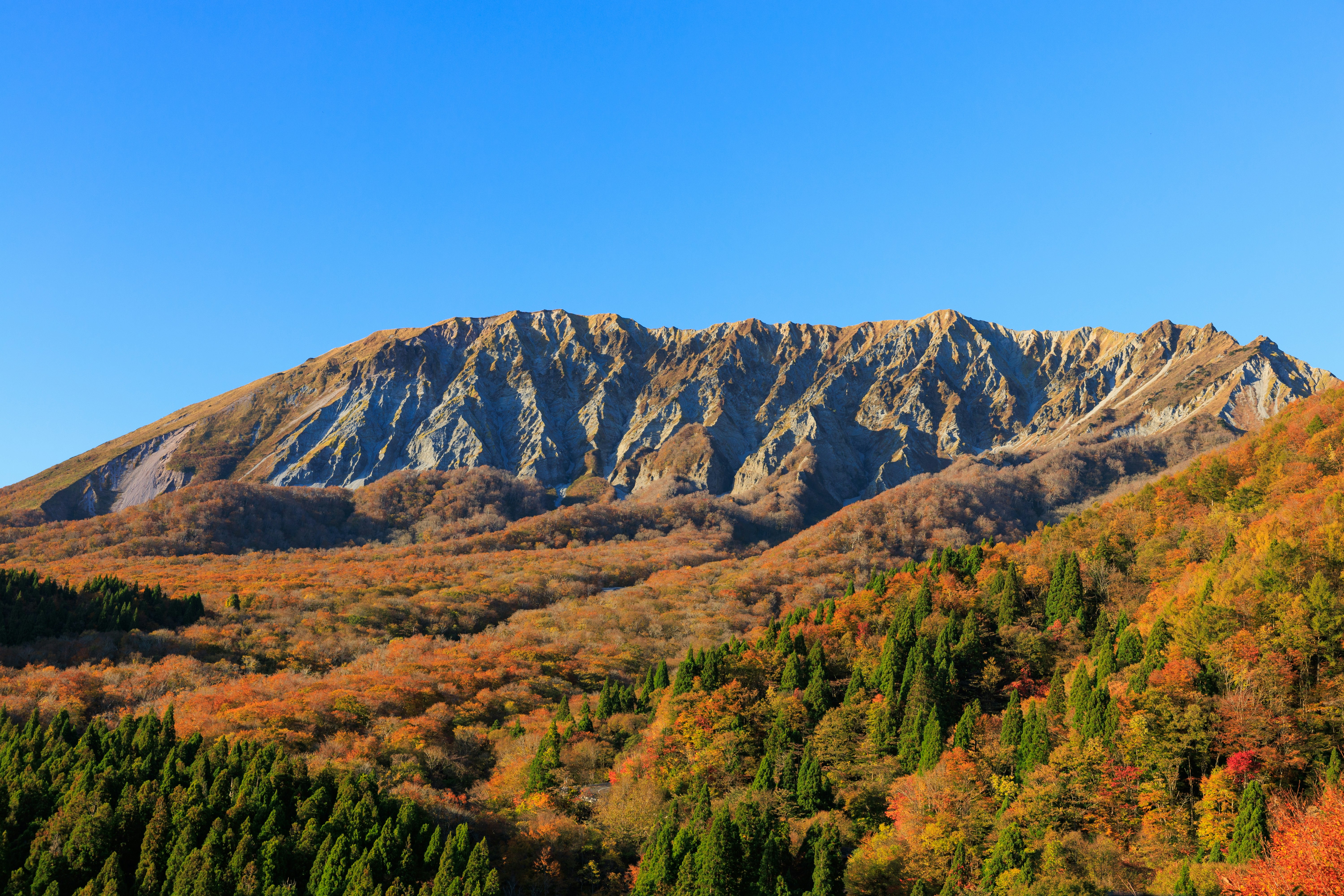 paysage d’automne avec une forêt aux couleurs d’automne et des crêtes de montagne
