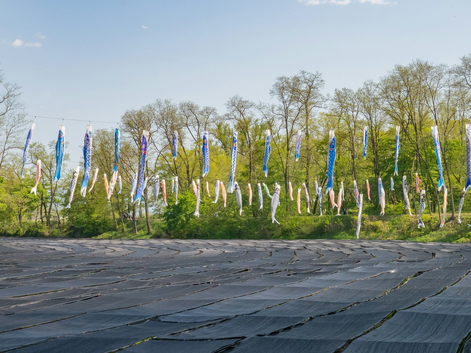 Bunte Wimpel, die vor einem Hintergrund aus grünen Bäumen aufgereiht sind