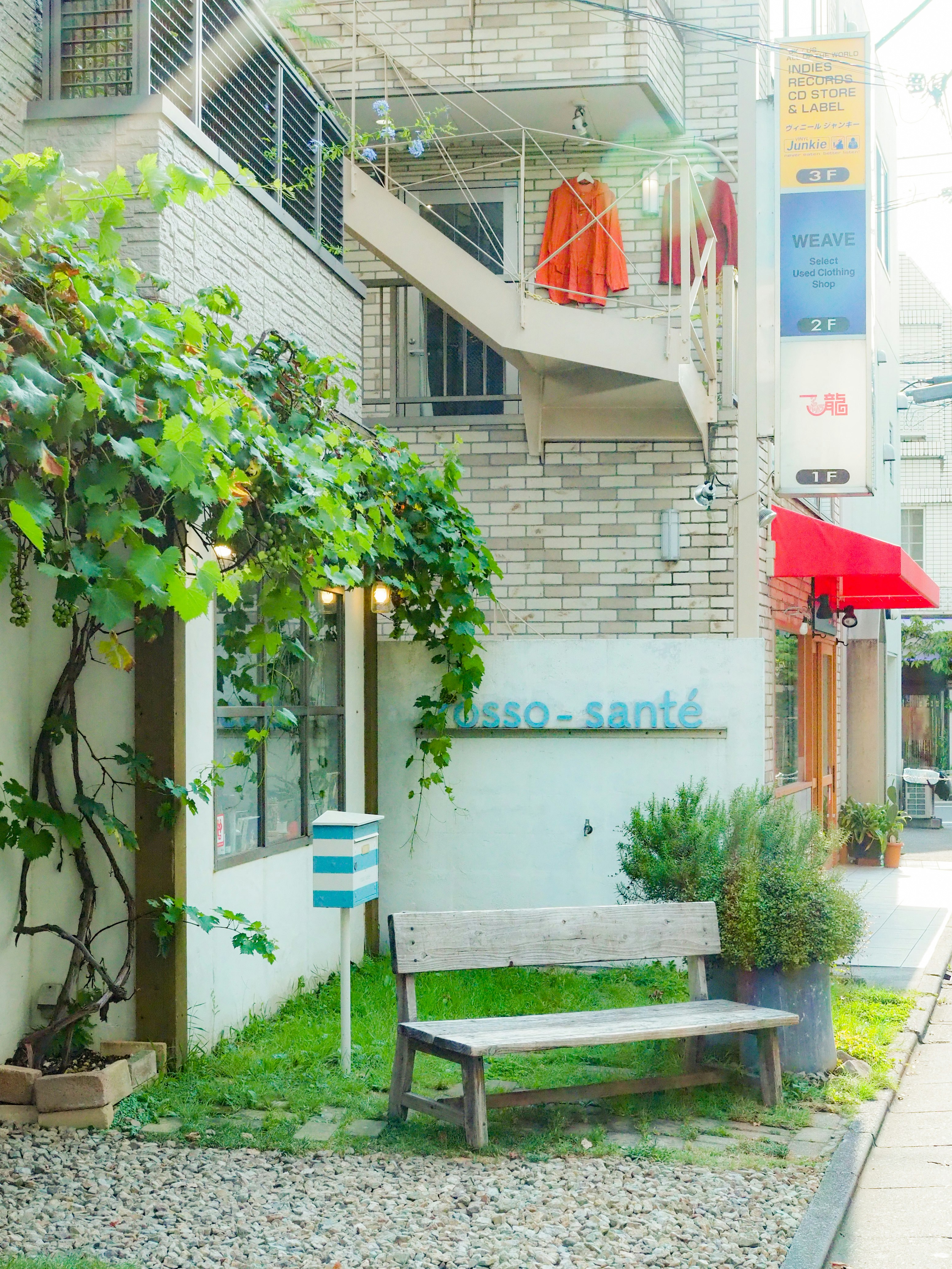 中庭の緑とベンチがある街の通路