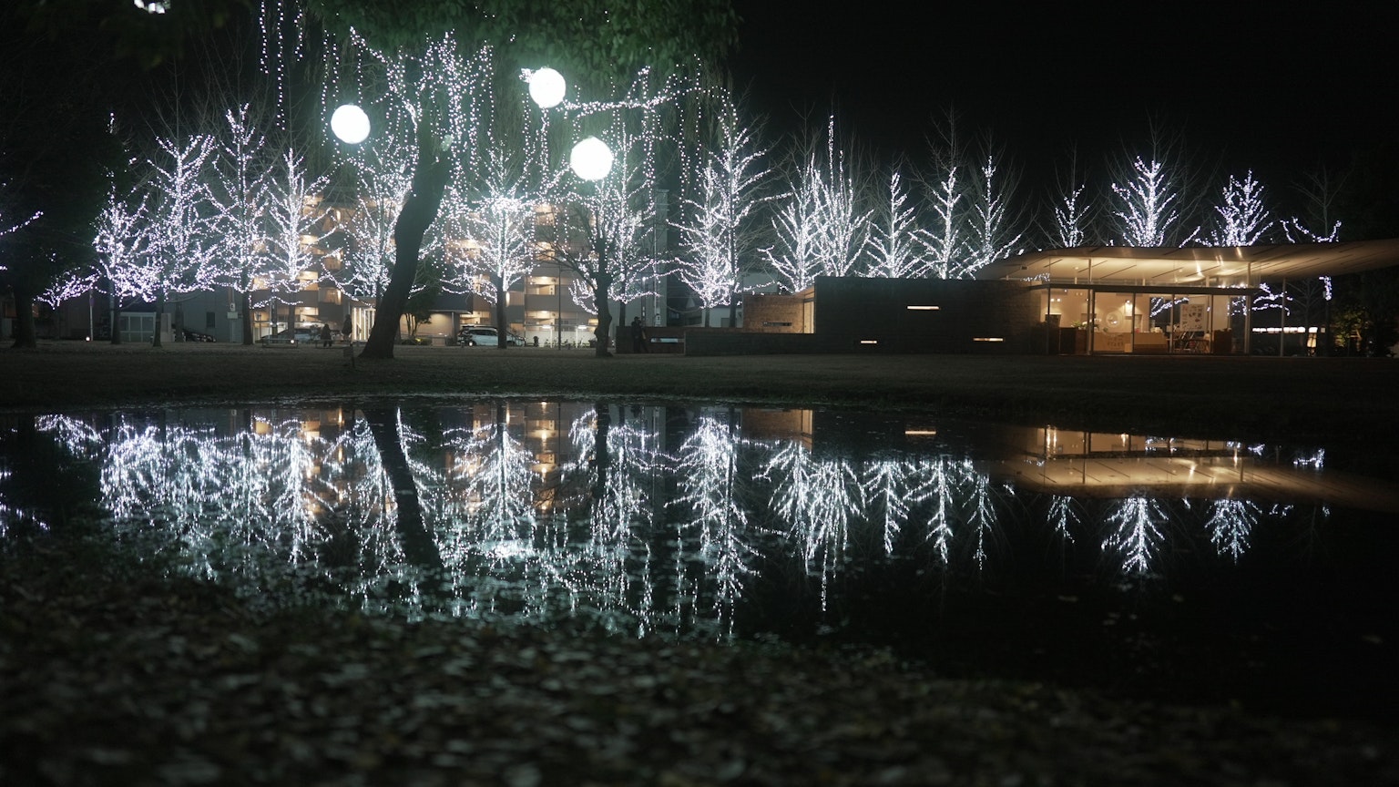 夜晚公園的白色燈光和水面反射的景色