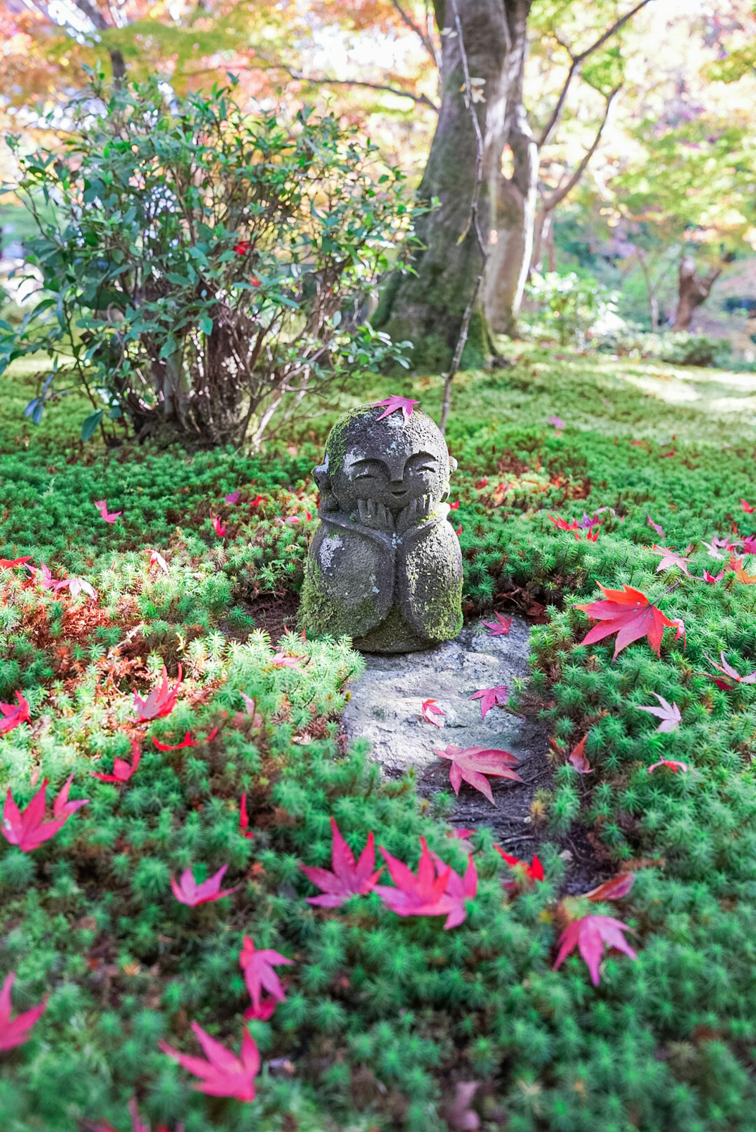 Statua di pietra circondata da muschio verde e foglie di acero rosse