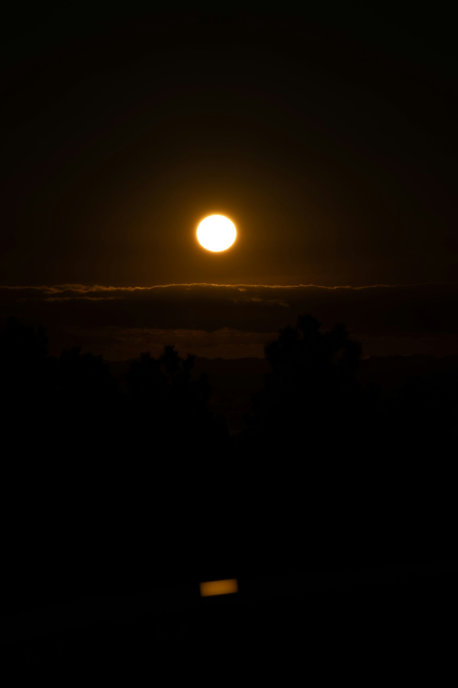 Helle Vollmond im Nachthimmel mit dunkler Silhouette von Bäumen