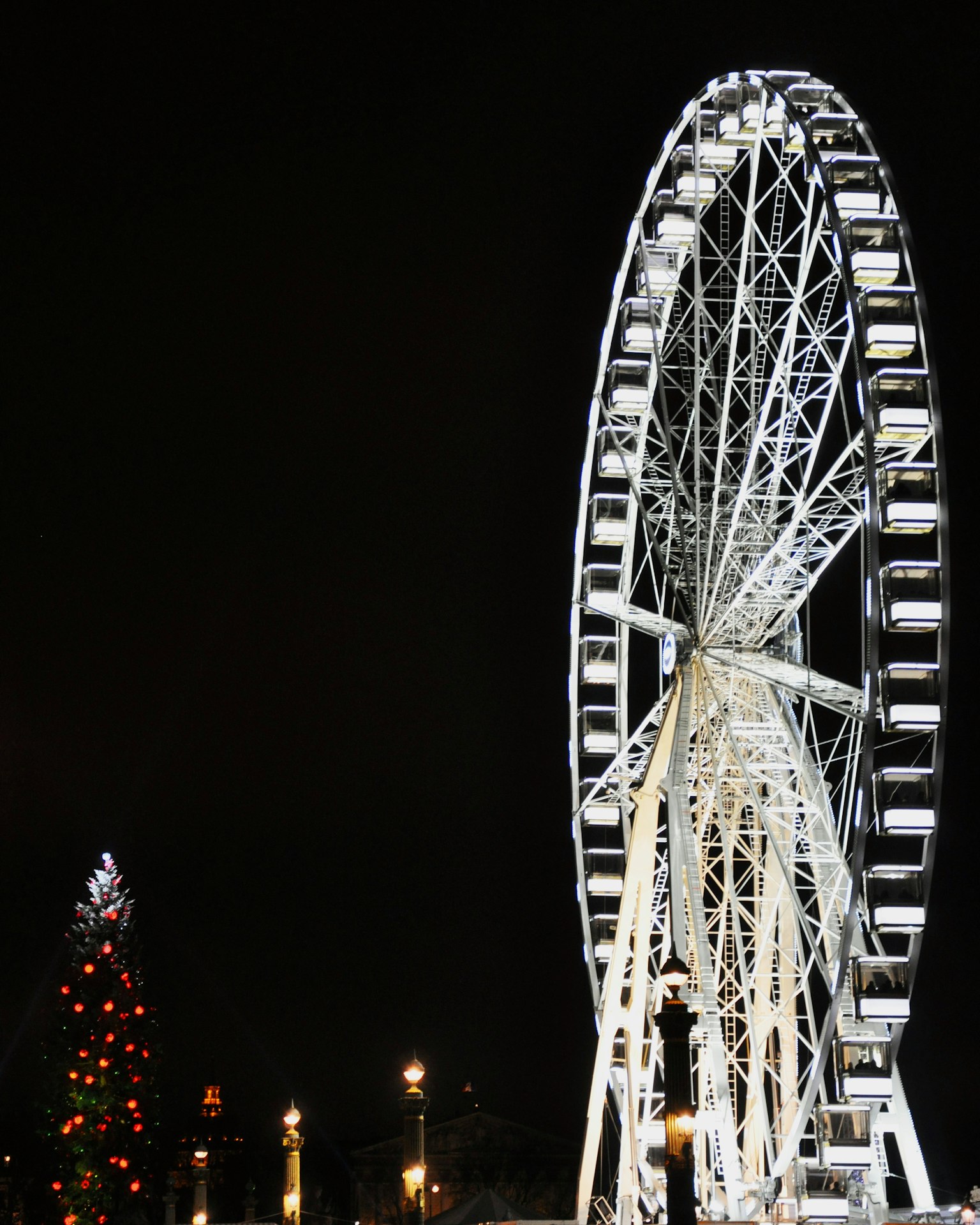 Vue nocturne d'une grande roue et d'un arbre de Noël illuminé