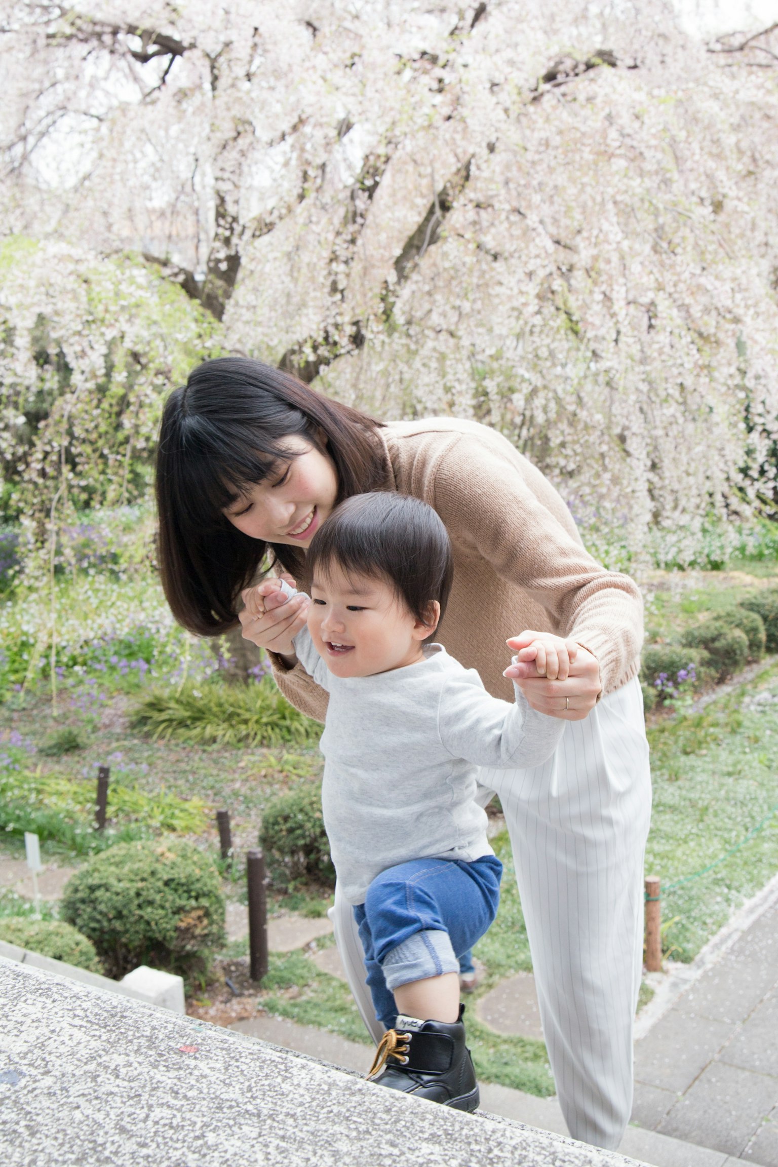 Một người mẹ đang giúp con mình leo cầu thang giữa những cây anh đào nở hoa