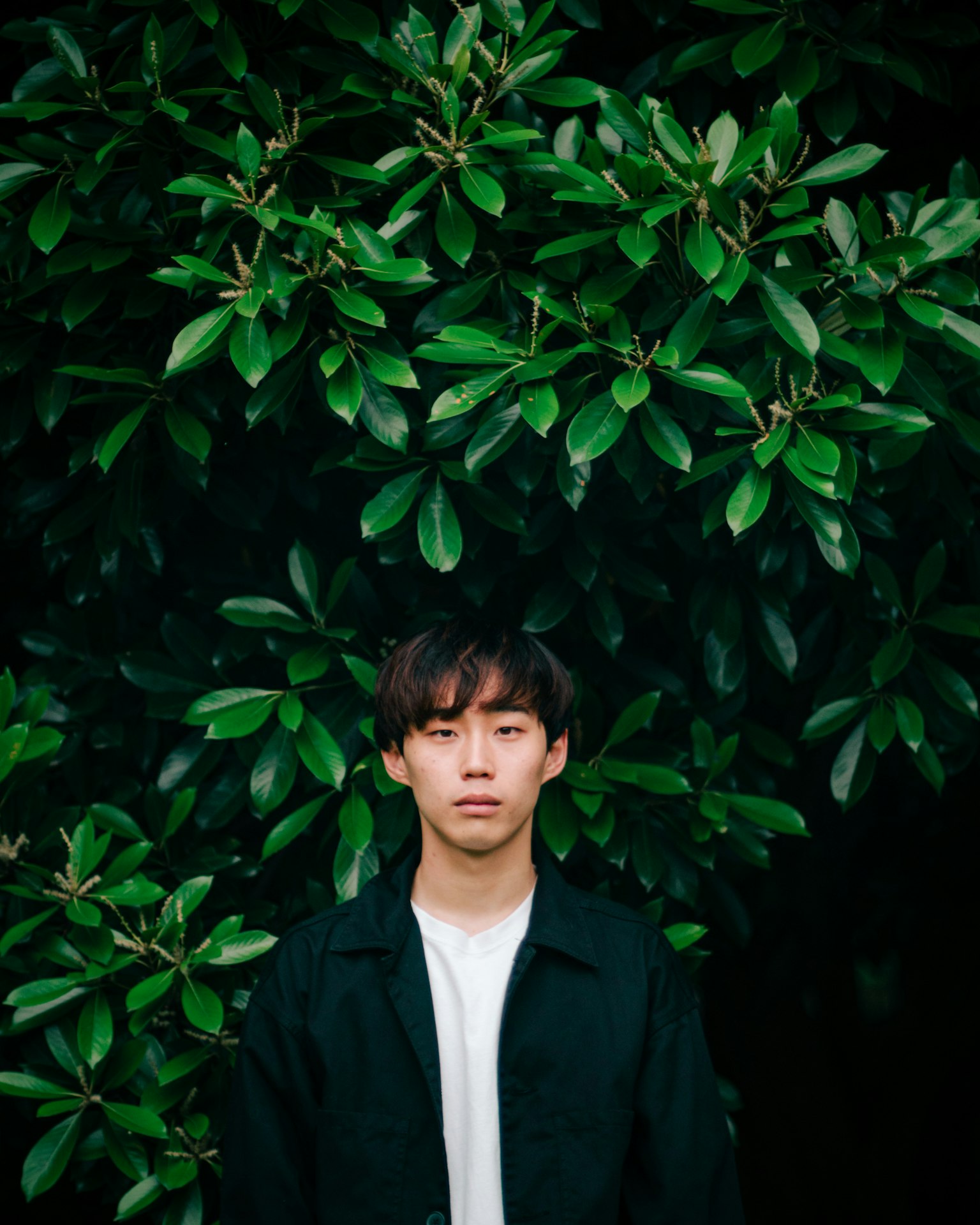 Portrait of a young man surrounded by green leaves