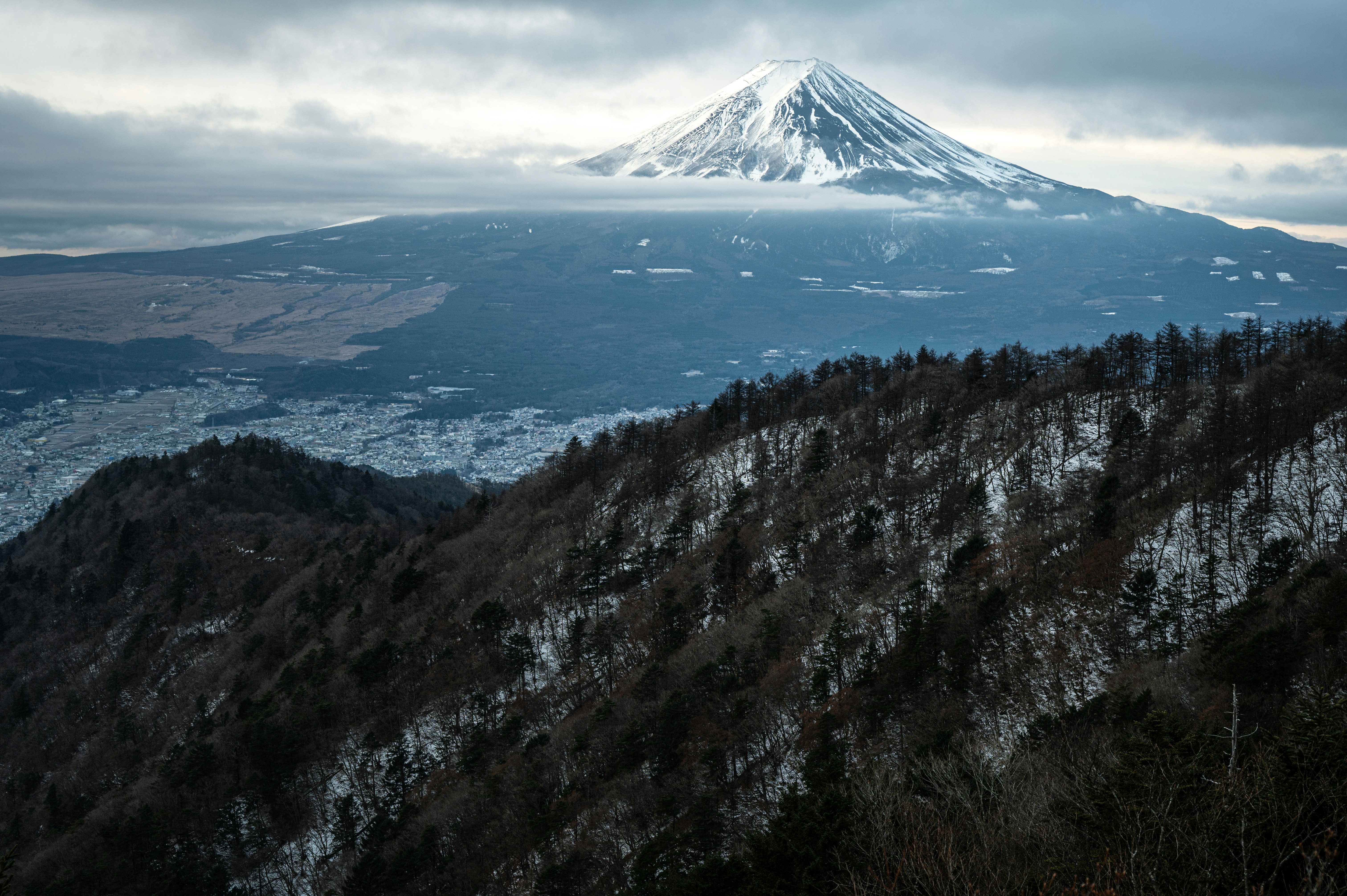 雪をかぶった山と森の稜線を見下ろす山岳風景
