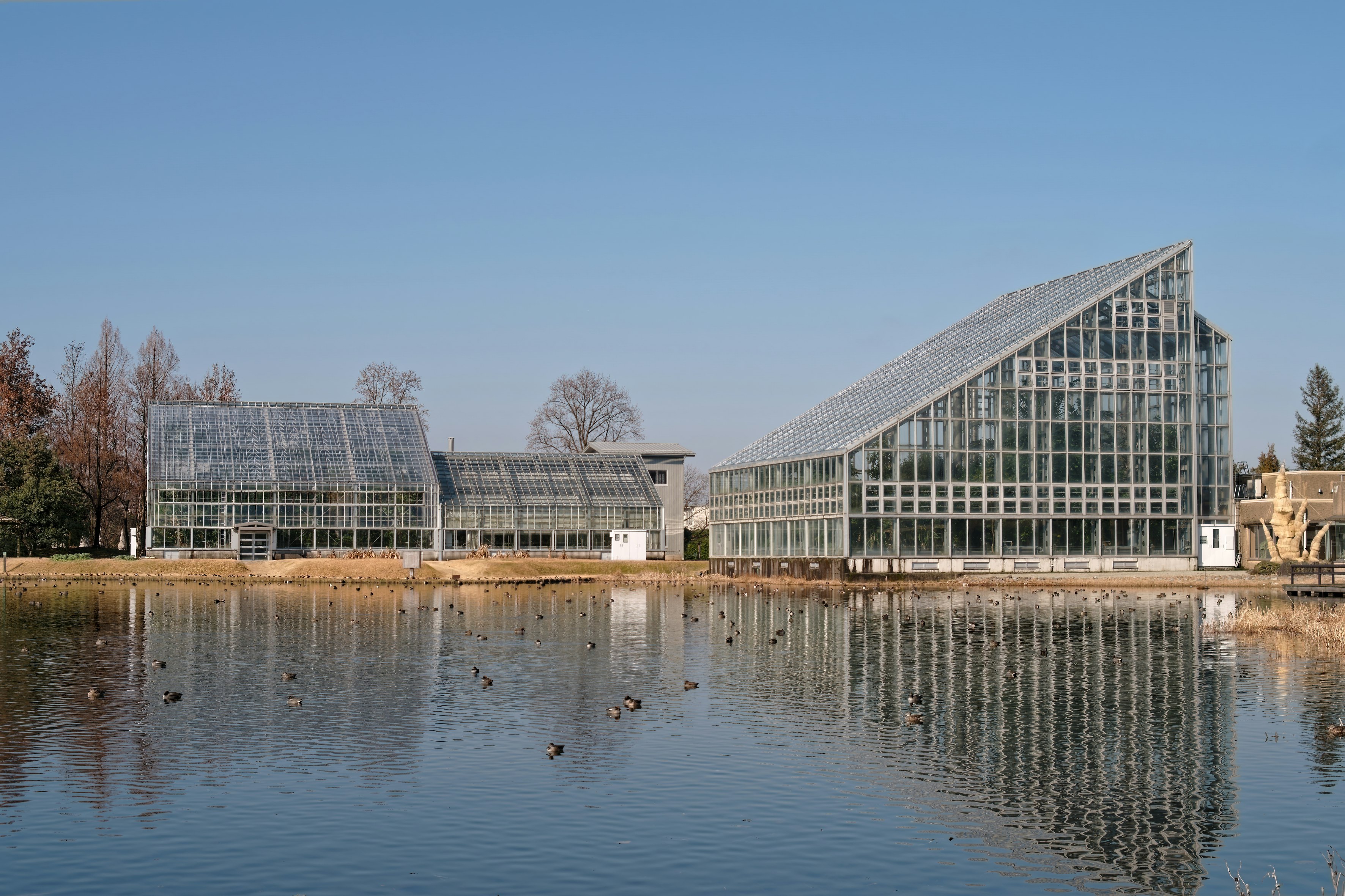 富山中央植物園の温室と池のある内庭の風景