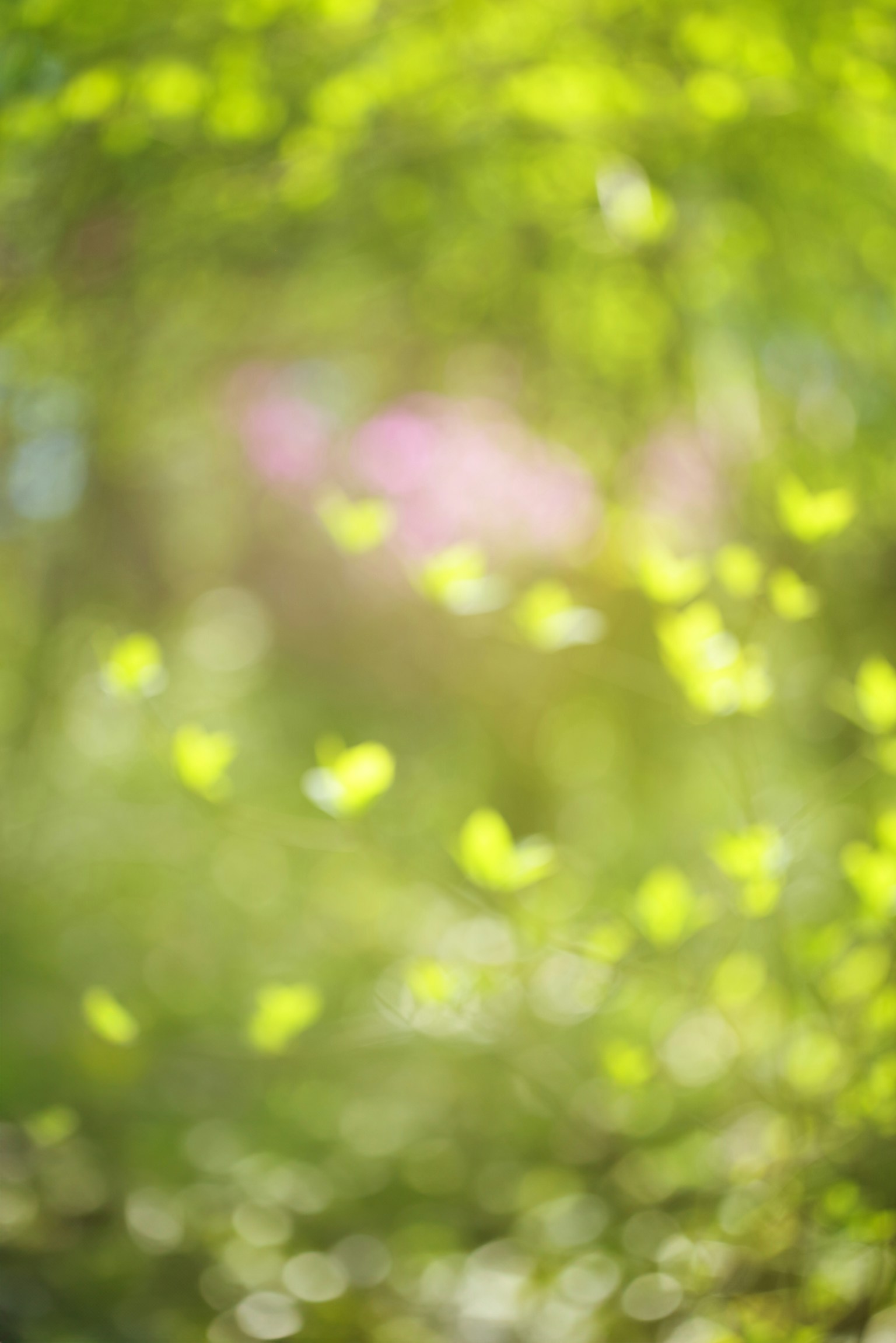 photo-fPKV5hNRYZL0Oo1y9QJs-image