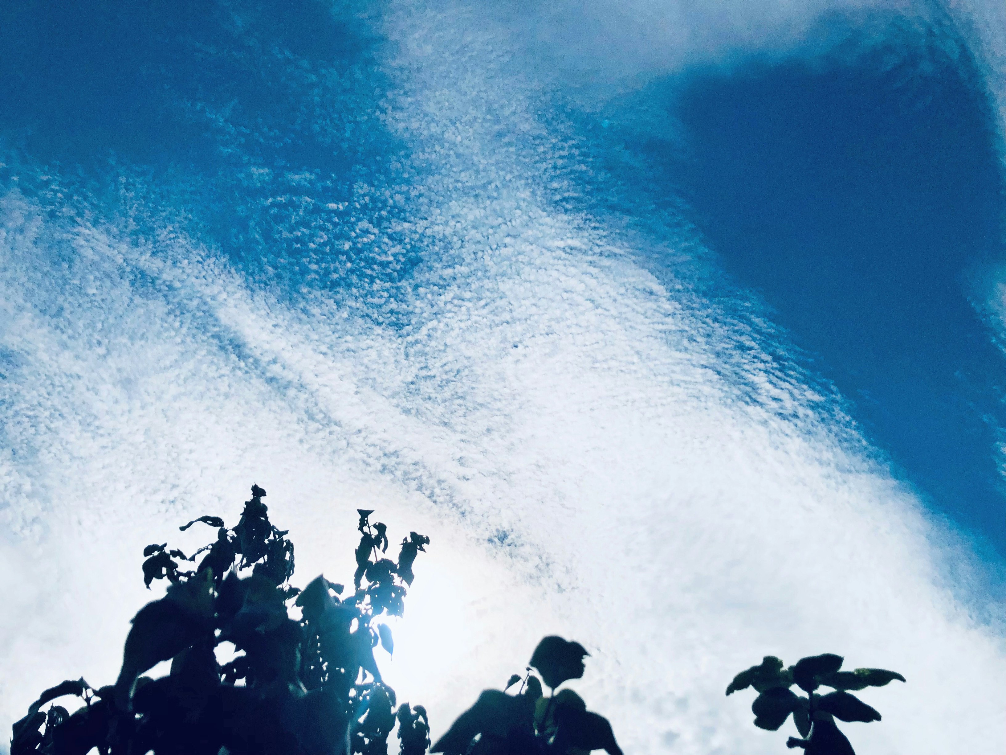 silhouetted people above bright white clouds under a blue sky