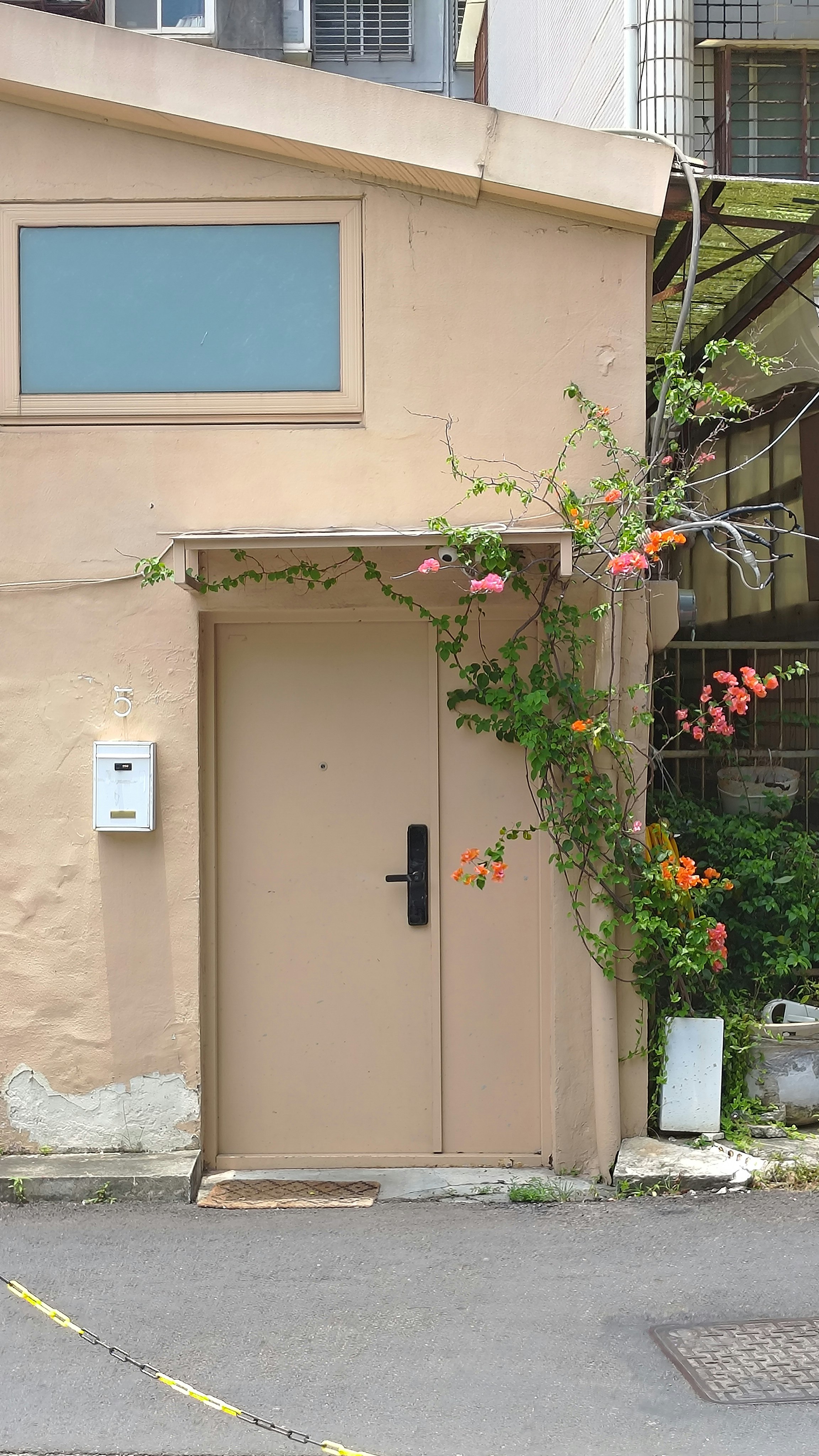 路地の壁際に置かれた鉢植えとベージュの扉