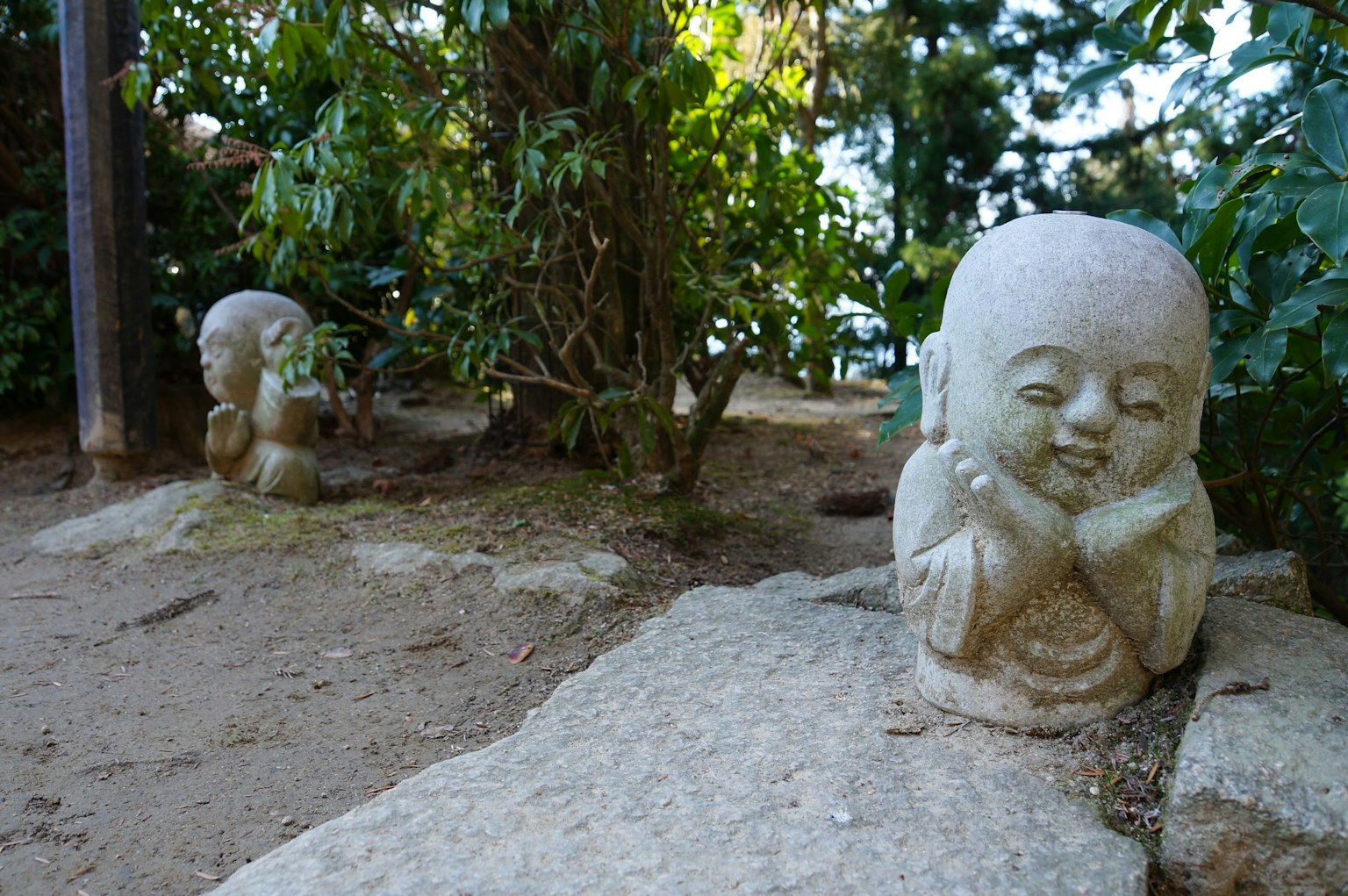 Statues de Bouddha en pierre dans un jardin luxuriant