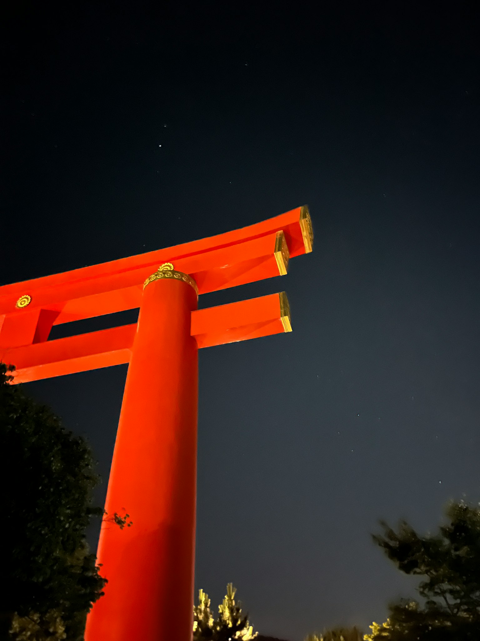 夜空下的紅色鳥居