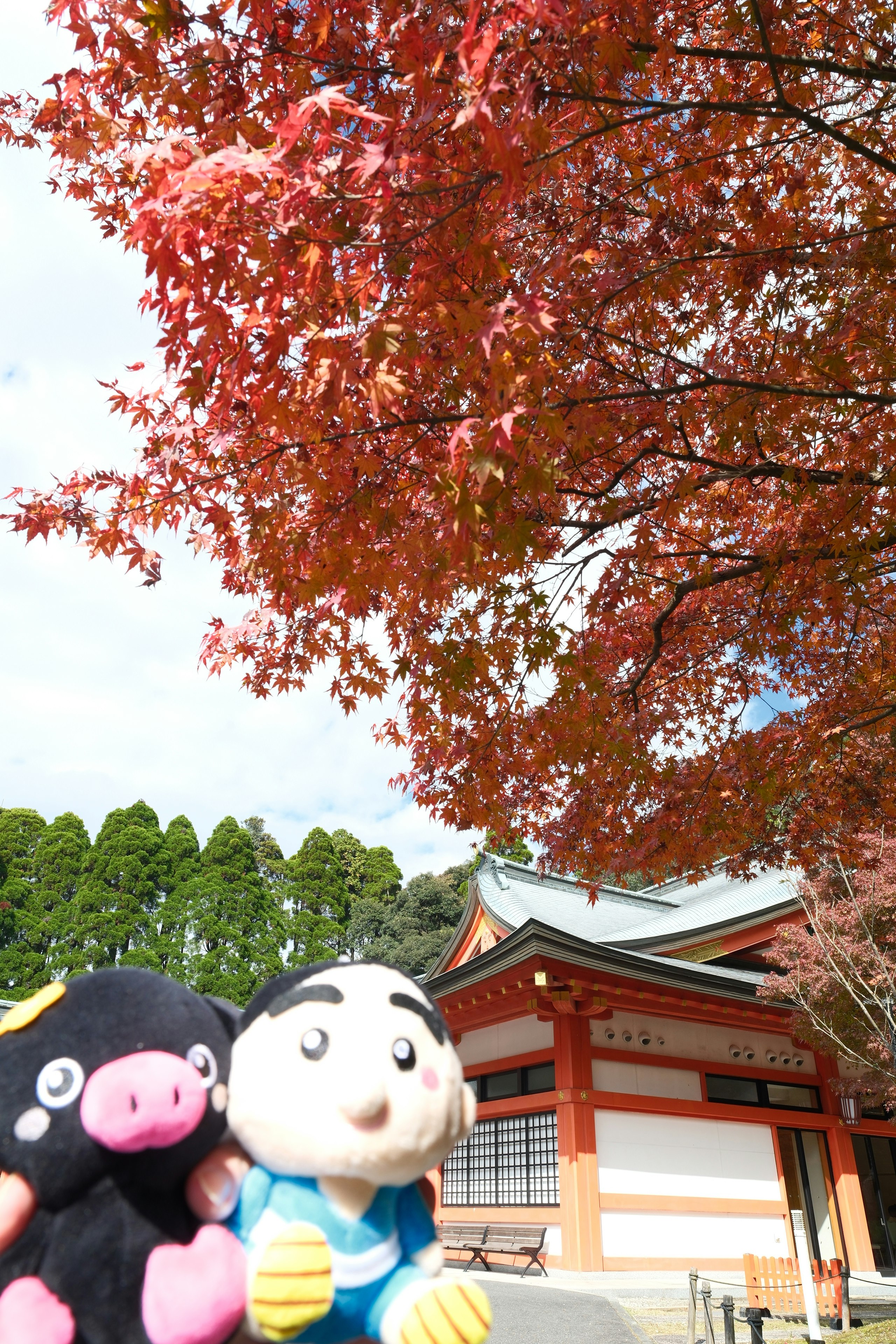 霧島神宮の朱塗り社殿と紅葉のもみじ、ぬいぐるみ
