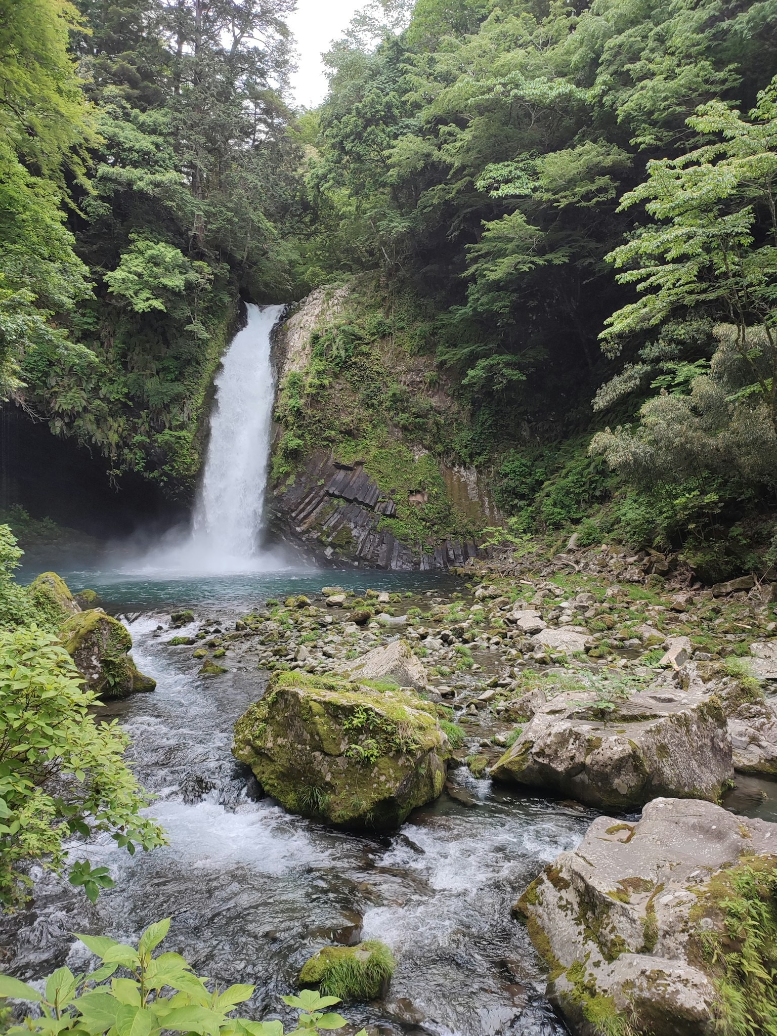 Pemandangan indah air terjun dikelilingi pepohonan hijau dan aliran sungai