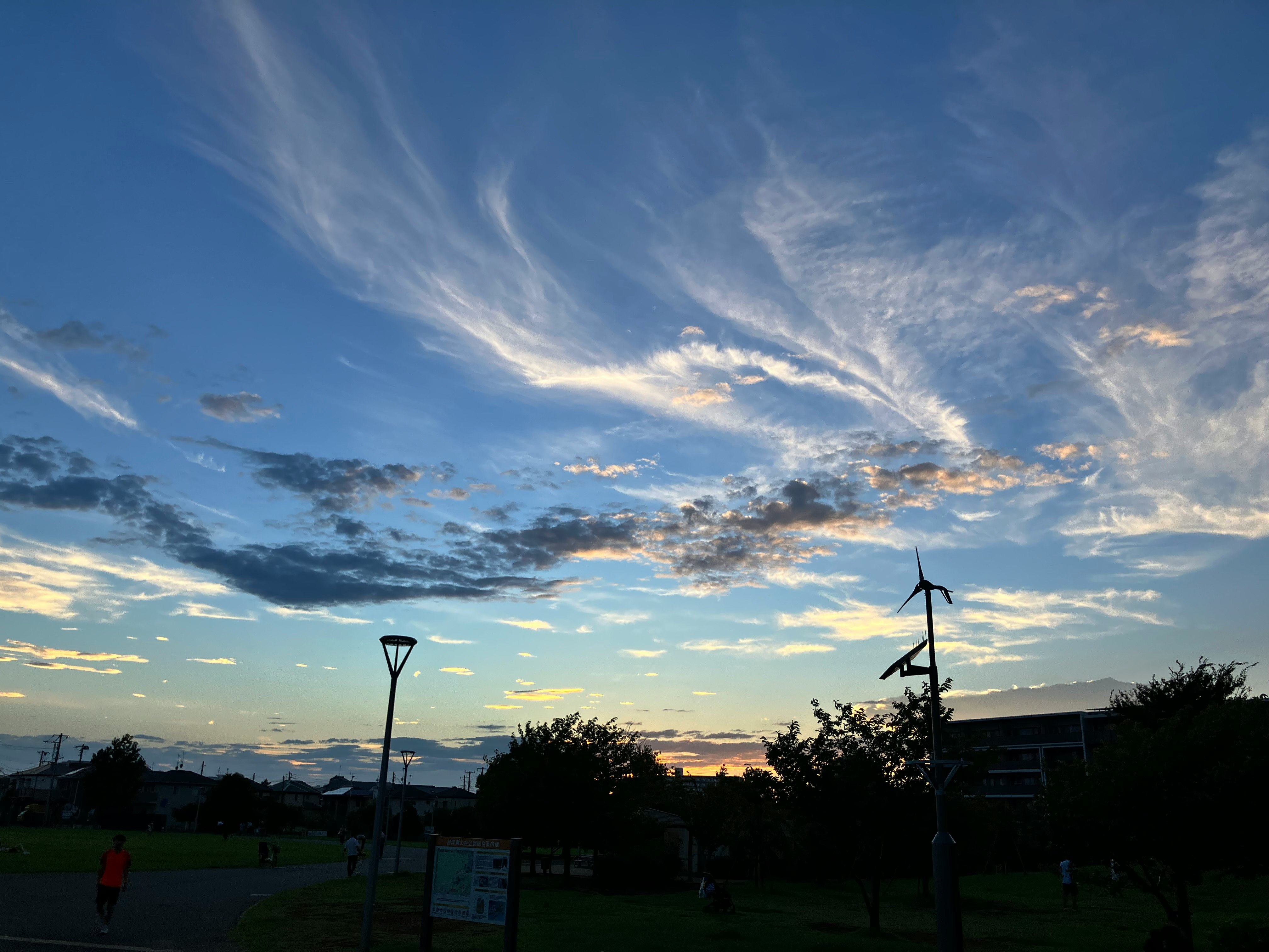 夕焼けの公園で広がる雲と空のシルエット