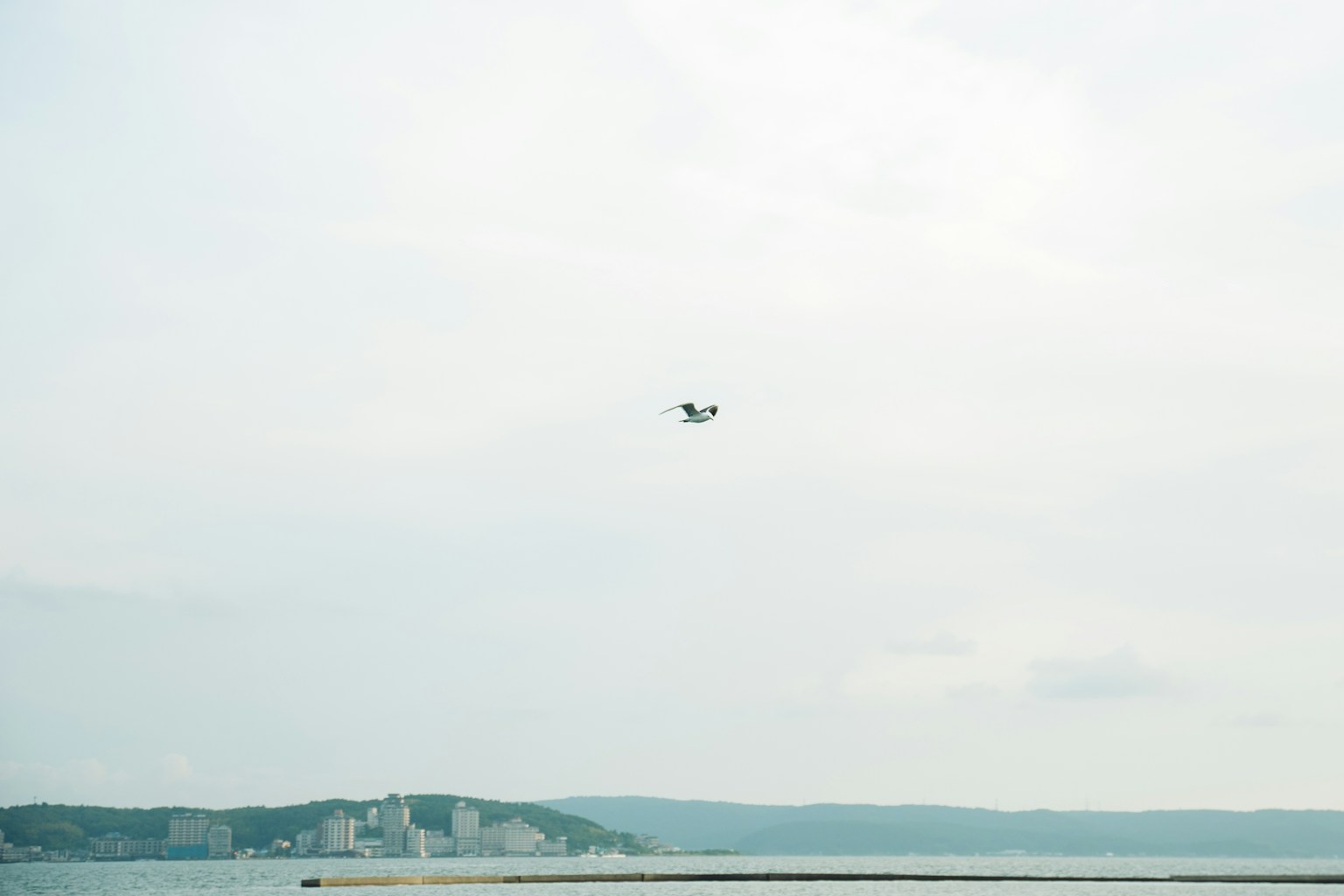 小型飞机飞过淡色天空和海洋
