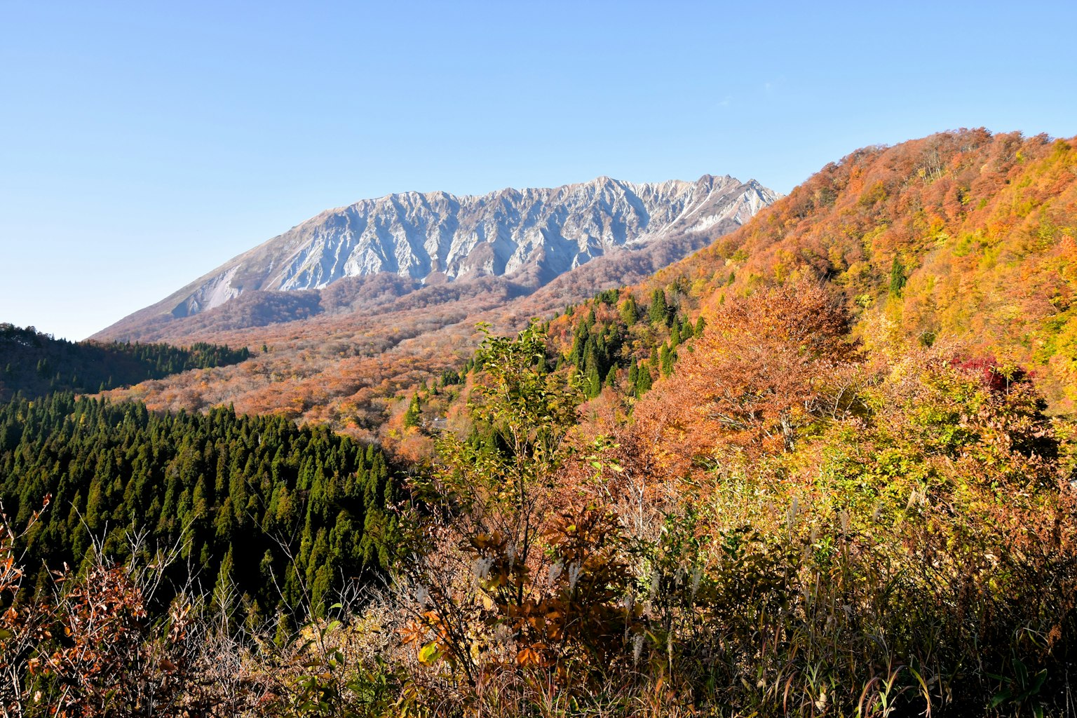 Malersicher Blick auf Herbstlaub mit Bergen im Hintergrund