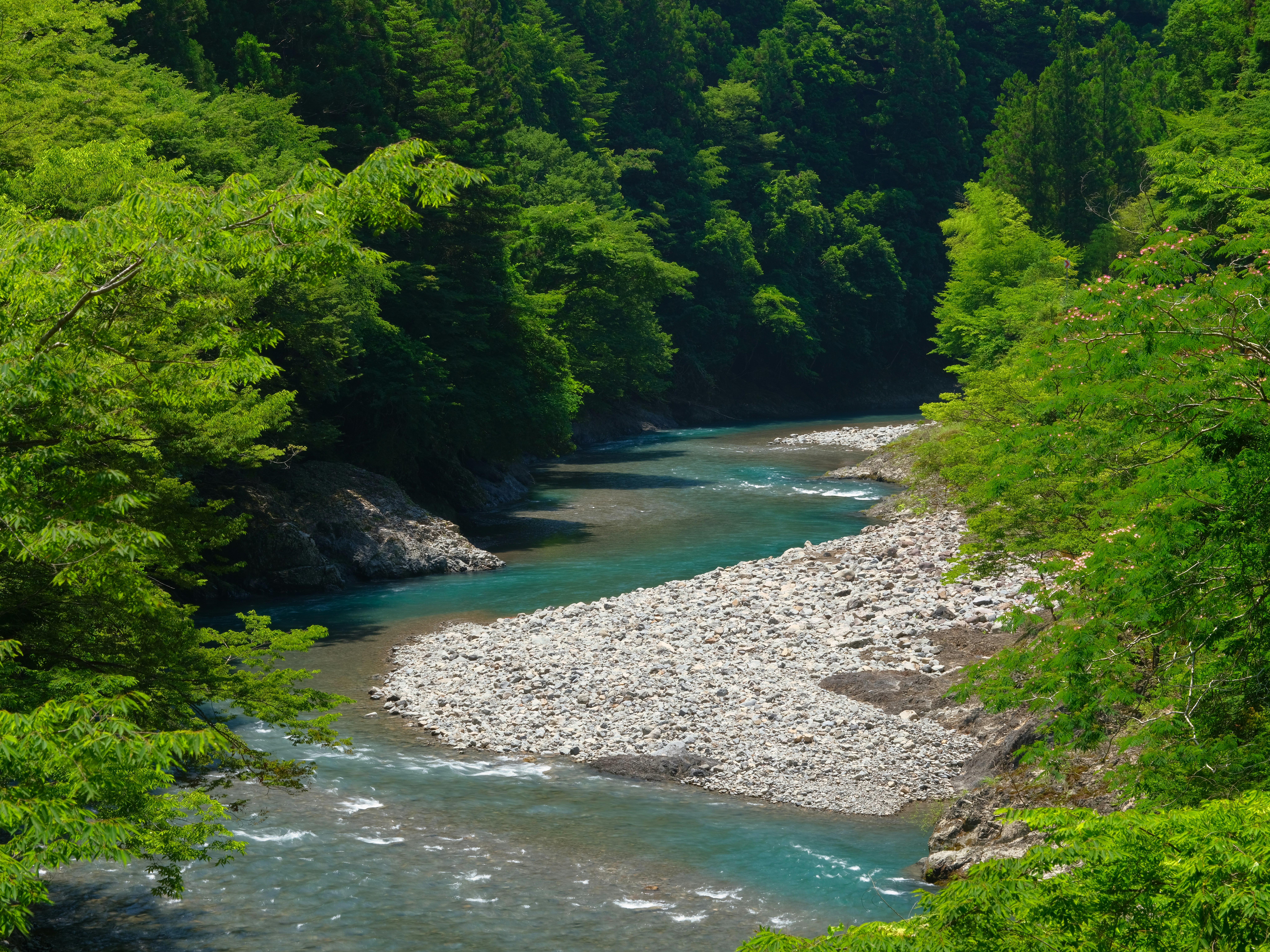 緑豊かな森林に囲まれた清流の美しい風景