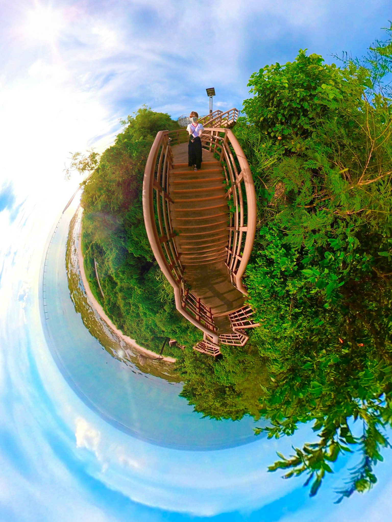 Holztreppe umgeben von Grün und blauem Himmel