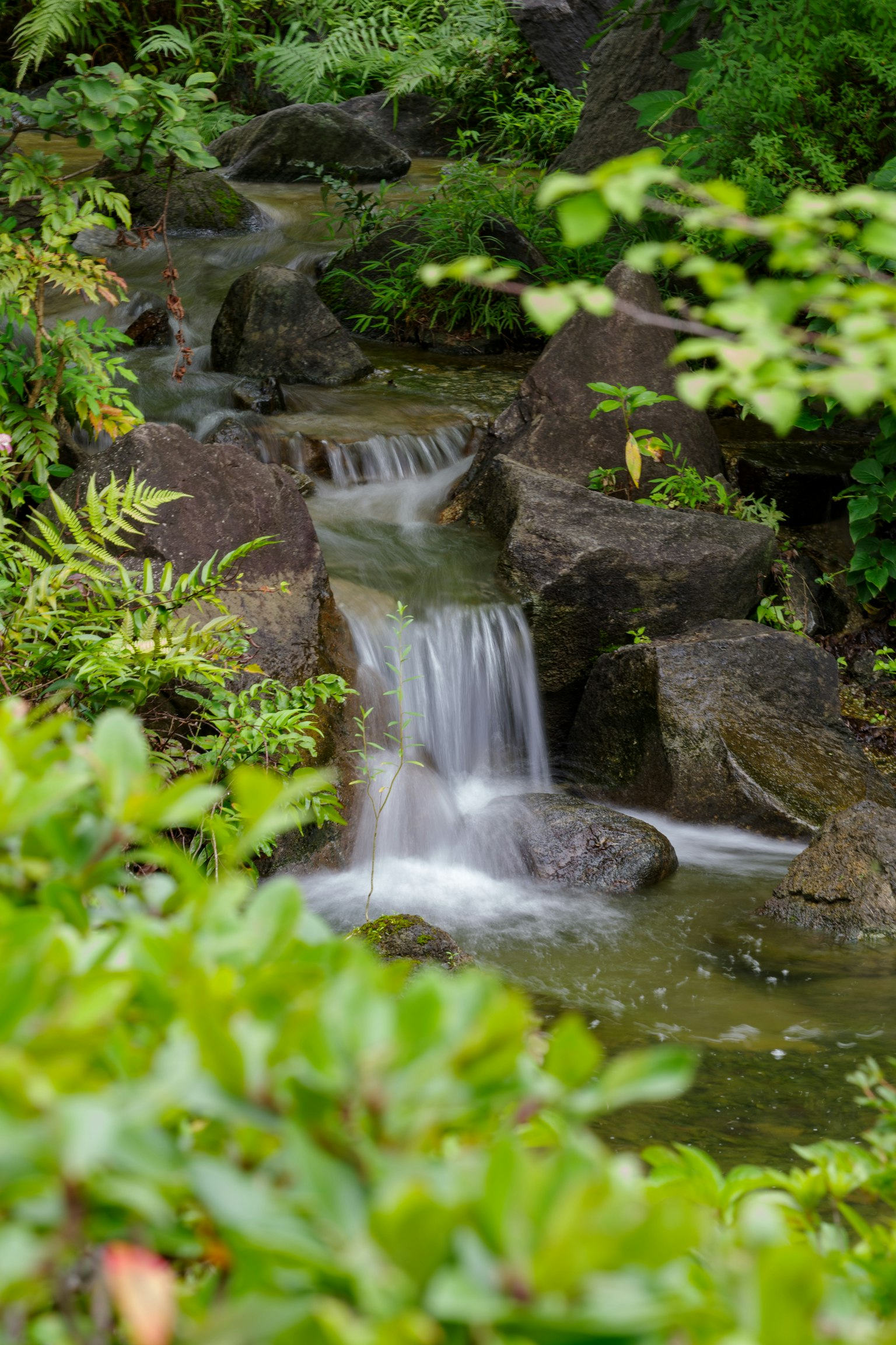 Una pequeña cascada rodeada de follaje verde
