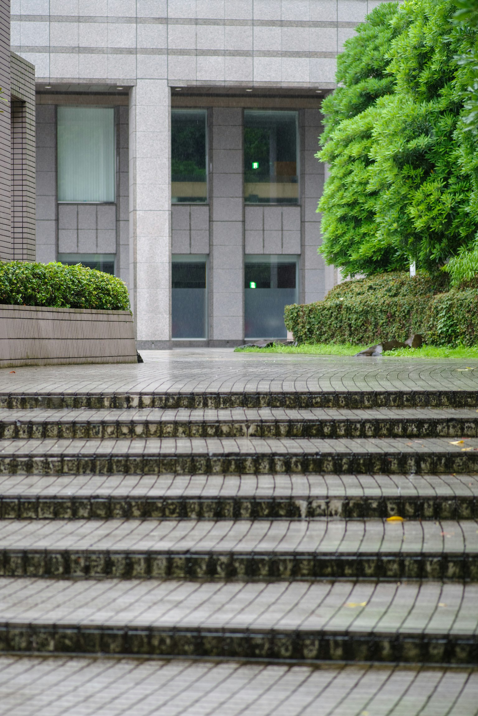 Treppen zu einem modernen Gebäude mit Grünflächen