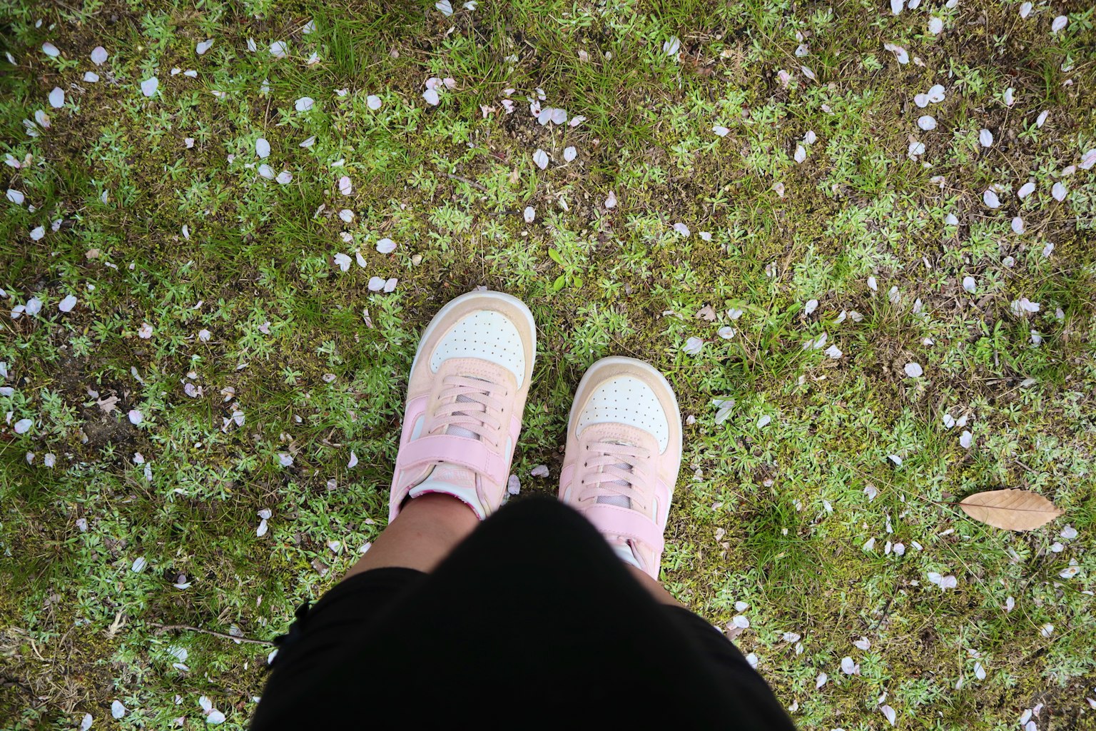Piedi in sneakers rosa su erba verde cosparsa di petali di fiori