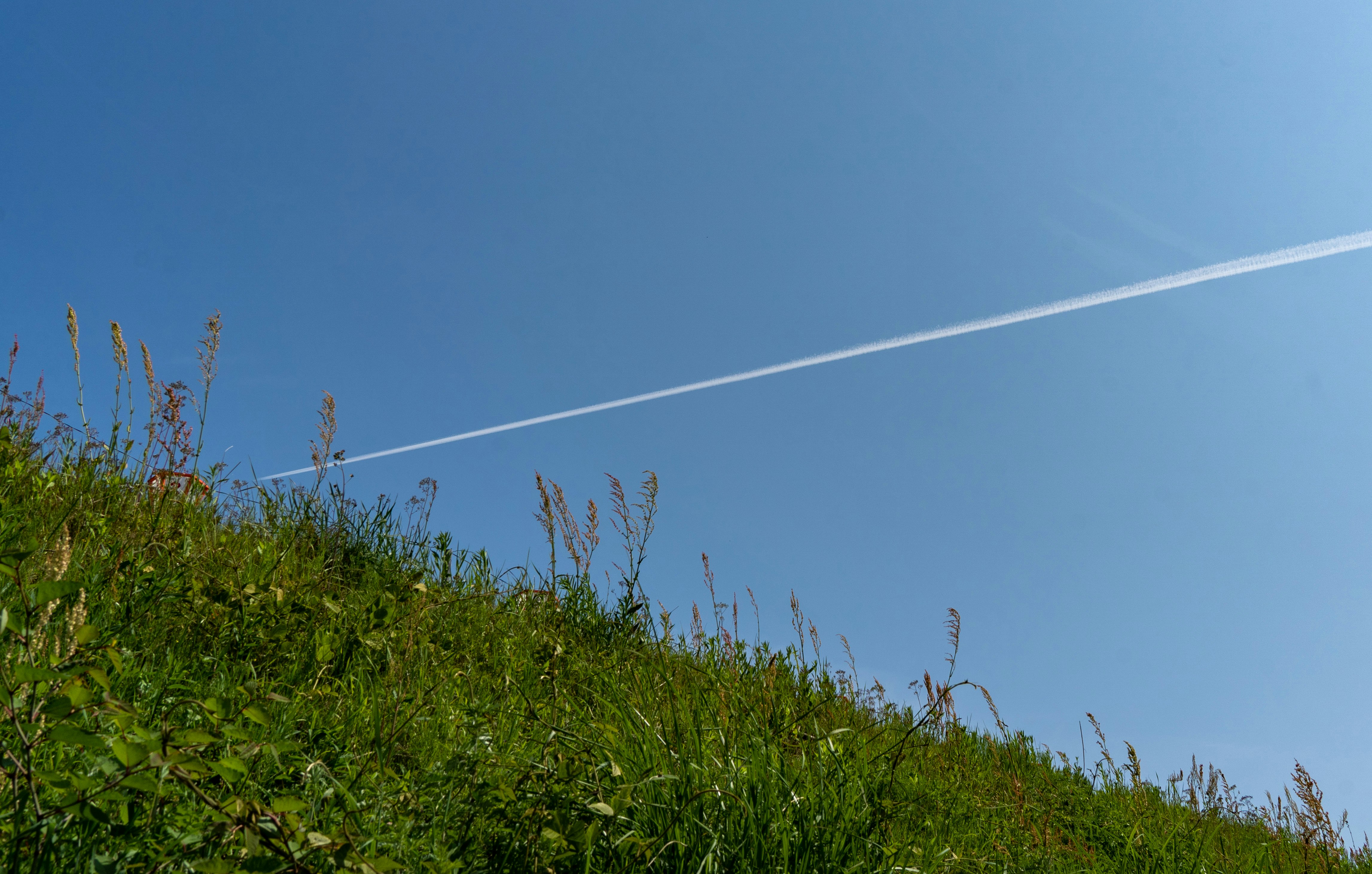 pente de colline couverte d’herbe sous un ciel bleu clair